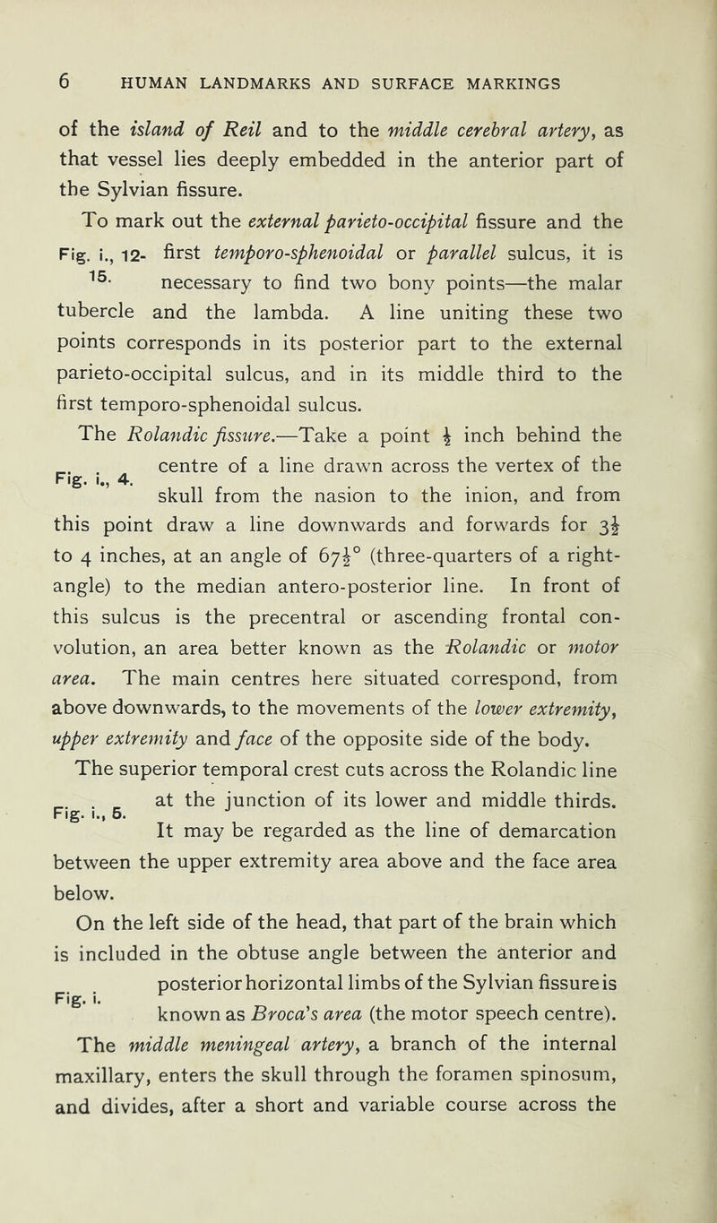 of the island of Reil and to the middle cerebral artery^ as that vessel lies deeply embedded in the anterior part of the Sylvian fissure. To mark out the external parieto-occipital fissure and the Fig. i., 12- first temporo-sphenoidal or parallel sulcus, it is necessary to find two bony points—the malar tubercle and the lambda. A line uniting these two points corresponds in its posterior part to the external parieto-occipital sulcus, and in its middle third to the first temporo-sphenoidal sulcus. The Rolandic fissure.—Take a point \ inch behind the p.. . ^ centre of a line drawn across the vertex of the skull from the nasion to the inion, and from this point draw a line downwards and forwards for 3J to 4 inches, at an angle of 67^° (three-quarters of a right- angle) to the median antero-posterior line. In front of this sulcus is the precentral or ascending frontal con- volution, an area better known as the Rolandic or motor area. The main centres here situated correspond, from above downwards, to the movements of the lower extremityy upper extremity and/ace of the opposite side of the body. The superior temporal crest cuts across the Rolandic line „ at the junction of its lower and middle thirds. Fig. I., 6. It may be regarded as the line of demarcation between the upper extremity area above and the face area below. On the left side of the head, that part of the brain which is included in the obtuse angle between the anterior and ^ , posterior horizontal limbs of the Sylvian fissure is ^ known as Broca's area (the motor speech centre). The middle meningeal artery^ a branch of the internal maxillary, enters the skull through the foramen spinosum, and divides, after a short and variable course across the