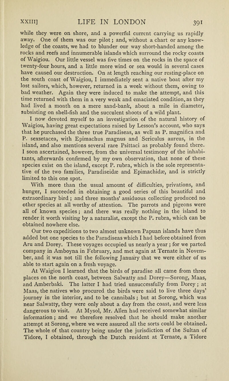 while they were on shore, and a powerful current carrying us rapidly away. One of them was our pilot; and, without a chart or any know¬ ledge of the coasts, we had to blunder our way short-handed among the rocks and reefs and innumerable islands which surround the rocky coasts of Waigiou. Our little vessel was five times on the rocks in the space of twenty-four hours, and a little more wind or sea would in several cases have caused our destruction. On at length reaching our resting-place on the south coast of Waigiou, I immediately sent a native boat after my lost sailors, which, however, returned in a week without them, owing to bad weather. Again they were induced to make the attempt, and this time returned with them in a very weak and emaciated condition, as they had lived a month on a mere sand-bank, about a mile in diameter, subsisting on shell-fish and the succulent shoots of a wild plant. I now devoted myself to an investigation of the natural history of Waigiou, having great expectations raised by Lesson’s account, who says that he purchased the three true Paradiseas, as well as P. magnifica and P. sexsetacea, with Epimachus magnus and Sericulus aureus, in the island, and also mentions several rare Psittaci as probably found there. I soon ascertained, however, from the universal testimony of the inhabi¬ tants, afterwards confirmed by my own observation, that none of these species exist on the island, except P. rubra, which is the sole representa¬ tive of the two families, Paradiseidae and Epimachidae, and is strictly limited to this one spot. With more than the usual amount of difficulties, privations, and hunger, I succeeded in obtaining a good series of this beautiful and extraordinary bird ; and three months’ assiduous collecting produced no other species at all worthy of attention. The parrots and pigeons were all of known species; and there was really nothing in the island to render it worth visiting by a naturalist, except the P. rubra, which can be obtained nowhere else. Our two expeditions to two almost unknown Papuan islands have thus added but one species to the Paradiseas which I had before obtained from Aru and Dorey. These voyages occupied us nearly a year ; for we parted company in Amboyna in February, and met again at Ternate in Novem¬ ber, and it was not till the following January that we were either of us able to start again on a fresh voyage. At Waigiou I learned that the birds of paradise all came from three places on the north coast, between Salwatty and Dorey—Sorong, Maas, and Amberbaki. The latter I had tried unsuccessfully from Dorey ; at Maas, the natives who procured the birds were said to live three days’ journey in the interior, and to be cannibals ; but at Sorong, which was near Salwatty, they were only about a day from the coast, and were less dangerous to visit. At Mysol, Mr. Allen had received somewhat similar information ; and we therefore resolved that he should make another attempt at Sorong, where we were assured all the sorts could be obtained. The whole of that country being under the jurisdiction of the Sultan of Tidore, I obtained, through the Dutch resident at Ternate, a Tidore