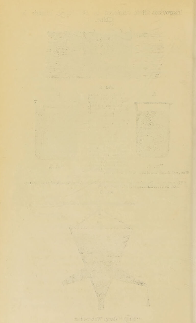 \ * ‘1* ■f fi*. A > ! \ ■f.v. ) .“'.■