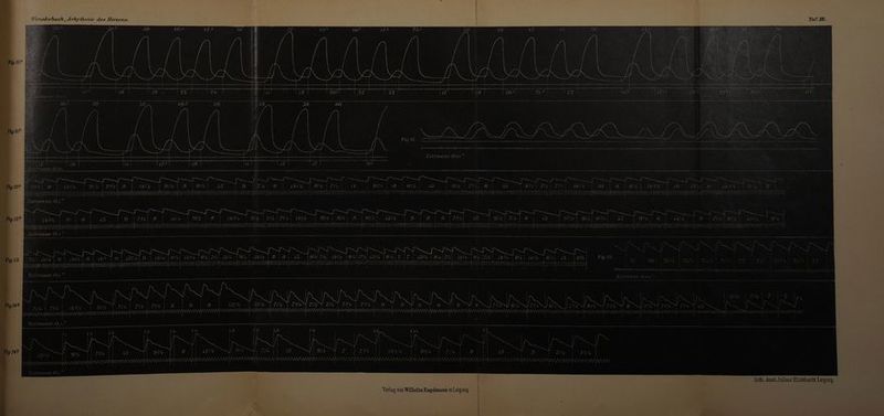| | i | | KUNRRRNEANRAANNERN Van NLA LANDE AAN AAN Du SLOT EINE Are WR RN AAN mRNA WAREN LERNEN nr) I 1 [7 Gy; WE 2% | | 203| 120 29 wu I Ran 17 Zeitmass:0,0+ AannAMnANAANNANN ANAMANV VUNV Zeilmass:0,1. WEL) 73/7 8 8 fo) 13Y+ | mir “a7, [En d n 7% AaMmANN En Yalılay AAN N ARD. NM an un mm Mann mn ANTRAT MN) vum MANN AAANAN An MI yUnd U nan aaa upmaYnMM AnAAN Y | Zeitmass:Q,1. / Fer « 91 1 EBEN | x I na AnnnannnnannnannANNAANAANAANANAN/ AA \ANNANNNANNANAN N Va Fa Va TAN Va VaYaYaaVaVa a a VaVA ATATANATATAVAUITATAVAVATATATAUATUDT YAVAVATATIVANAAVATAVaVa TAU aVaVaaVaVaVıVaVaVaVaVaVaNAV, INASS:U4 Lith. Anst.Julius Klinkhardt Leipzig.