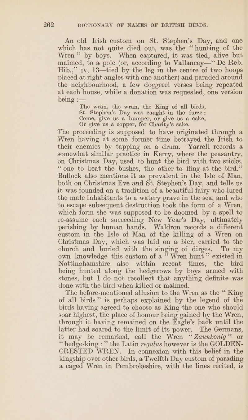 An old Irish custom on St. Stephen’s Day, and one which has not quite died out, was the ‘“‘ hunting of the Wren” by boys. When captured, it was tied, alive but maimed, to a pole (or, according to Vallancey—‘‘ De Reb. Hib.,” 1v, 13—tied by the leg in the centre of two hoops placed at right angles with one another) and paraded around the neighbourhood, a few doggerel verses being repeated at each house, while a donation was requested, one version being :— The wran, the wran, the King of all birds, St. Stephen’s Day was caught in the furze: Come, give us a bumper, or give us a cake, Or give us a copper, for Charity’s sake. The proceeding is supposed to have originated through a Wren having at some former time betrayed the Jrish to their enemies by tapping on a drum. Yarrell records a somewhat similar practice in Kerry, where the peasantry, on Christmas Day, used to hunt the bird with two sticks, ‘‘one to beat the bushes, the other to fling at the bird.” Bullock also mentions it as prevalent in the Isle of Man, both on Christmas Eve and St. Stephen’s Day, and tells us it was founded on a tradition of a beautiful fairy who lured the male inhabitants to a watery grave in the sea, and who to escape subsequent destruction took the form of a Wren, which form she was supposed to be doomed by a spell to re-assume each succeeding New Year’s Day, ultimately perishing by human hands. Waldron records a different custom in the Isle of Man of the killing of a Wren on Christmas Day, which was laid on a bier, carried to the church and buried with the singing of dirges. To my own knowledge this custom of a “ Wren hunt ”’ existed in Nottinghamshire also within recent times, the bird being hunted along the hedgerows by boys armed with stones, but I do not recollect that anything definite was done with the bird when killed or maimed. The before-mentioned allusion to the Wren as the “ King of all birds” is perhaps explained by the legend of the birds having agreed to choose as King the one who should soar highest, the place of honour being gained by the Wren, through it having remained on the EKagle’s back until the latter had soared to the limit of its power. The Germans, it may be remarked, call the Wren “ Zaunkonig” or ‘ hedge-king :”’ the Latin regulus however is the GOLDEN- CRESTED WREN. In connexion with this belief in the kingship over other birds, a Twelfth Day custom of parading a caged Wren in Pembrokeshire, with the lines recited, is