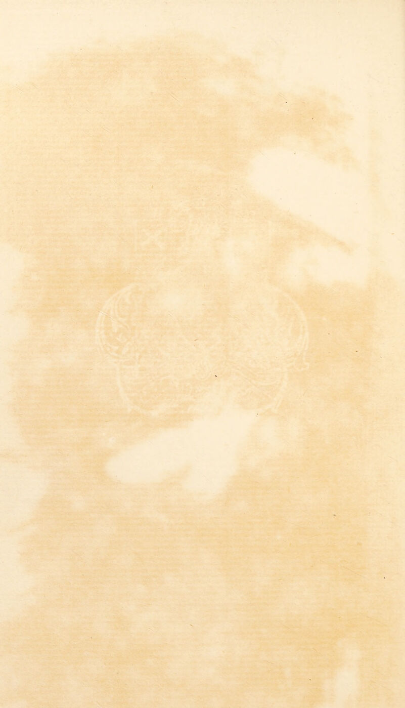 ,. ^XTvM* •»» ...•-.^V»/»~-^ - 7 ' I'-^^iSt*'«f ^ . . . .;'^*^pi^^ _iJU •'• *' VSi,v ’> i ' ^-::3^*.,,««*r-*i‘S< TT/ JMJJ iffVv ■■- .' rr ct-^ ..•■v '- -*. j||f^*'''‘r- ■^■•: '--;:i •C-k-'i iw.,^' i-4>- '• V,-. ' •**^'' ■fe- ' ■■ •■■ M l  ^ ''*>>-'■ ■ ^ge*- - flr'.