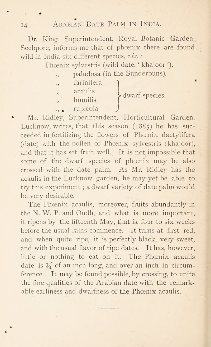 H )5 5) 5) > dwarf species. )5 • Dr. King-, Superintendent, Royal Botanic Garden, Seebpore, informs me that of phoenix there are found wild in India six different species, viz.: Phoenix sylvestris (wild date, ‘ khajoor ’). paludosa (in the Sunderbuns). farinifera acaulis humilis rupicola J Mr. Ridley, Superintendent, Horticultural Garden, Lucknow, writes, that this season (1885) he has suc- ceeded in fertilizing the flowers of Phoenix dactylifera (date) with the pollen of Phoenix sylvestris (khajoor), and that it has set fruit well.. It is not impossible that some of the dwarf species of phoenix may be also crossed with the date palm. As Mr. Ridley has the acaulis in the Lucknow garden, he may yet be able to try this experiment; a dwarf variety of date palm would be very desirable. The Phoenix acaulis, moreover, fruits abundantly in the N. W. P. and Oudh, and what is more important, it ripens by the fifteenth May, that is, four to six weeks before the usual rains commence. It turns at first red, and when quite ripe, it is perfectly black, very sweet, and with the usual flavor of ripe dates. It has, however, little or nothing to eat on it. The Phoenix acaulis date is of an inch long, and over an inch in circum- ference. It may be found possible, by crossing, to unite the fine qualities of the Arabian date with the remark- able earliness and dwarfness of the Phcenix acaulis.