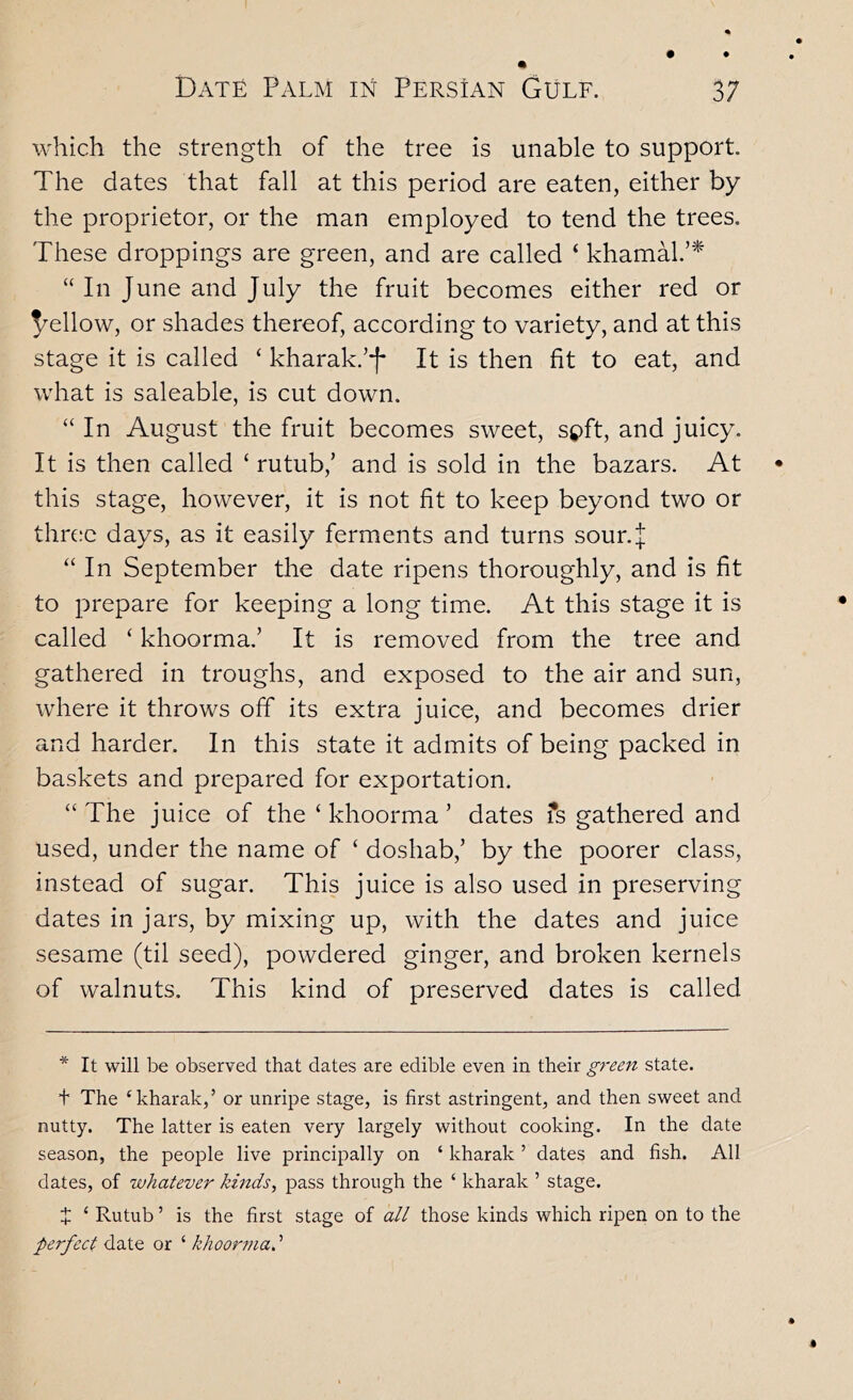 which the strength of the tree is unable to support. The dates that fall at this period are eaten, either by the proprietor, or the man employed to tend the trees. These droppings are green, and are called ‘ khamal.’^ “ In June and July the fruit becomes either red or 5^ellow, or shades thereof, according to variety, and at this stage it is called ‘ kharak.’J* It is then fit to eat, and what is saleable, is cut down. “ In August the fruit becomes sweet, spft, and juicy. It is then called ‘ rutub,’ and is sold in the bazars. At this stage, however, it is not fit to keep beyond two or three days, as it easily ferments and turns sour.J “ In September the date ripens thoroughly, and is fit to prepare for keeping a long time. At this stage it is called ‘ khoorma.’ It is removed from the tree and gathered in troughs, and exposed to the air and sun, where it throws off its extra juice, and becomes drier and harder. In this state it admits of being packed in baskets and prepared for exportation. “ The juice of the ‘ khoorma ’ dates ?s gathered and used, under the name of ‘ doshab,’ by the poorer class, instead of sugar. This juice is also used in preserving dates in jars, by mixing up, with the dates and juice sesame (til seed), powdered ginger, and broken kernels of walnuts. This kind of preserved dates is called * It will be observed that dates are edible even in their green state. + The ‘kharak,’ or unripe stage, is first astringent, and then sweet and nutty. The latter is eaten very largely without cooking. In the date season, the people live principally on ‘ kharak ’ dates and fish. All dates, of whatever kmds^ pass through the ‘ kharak ’ stage. + ‘ Rutub ’ is the first stage of all those kinds which ripen on to the perfect date or ‘ khoorma.'’