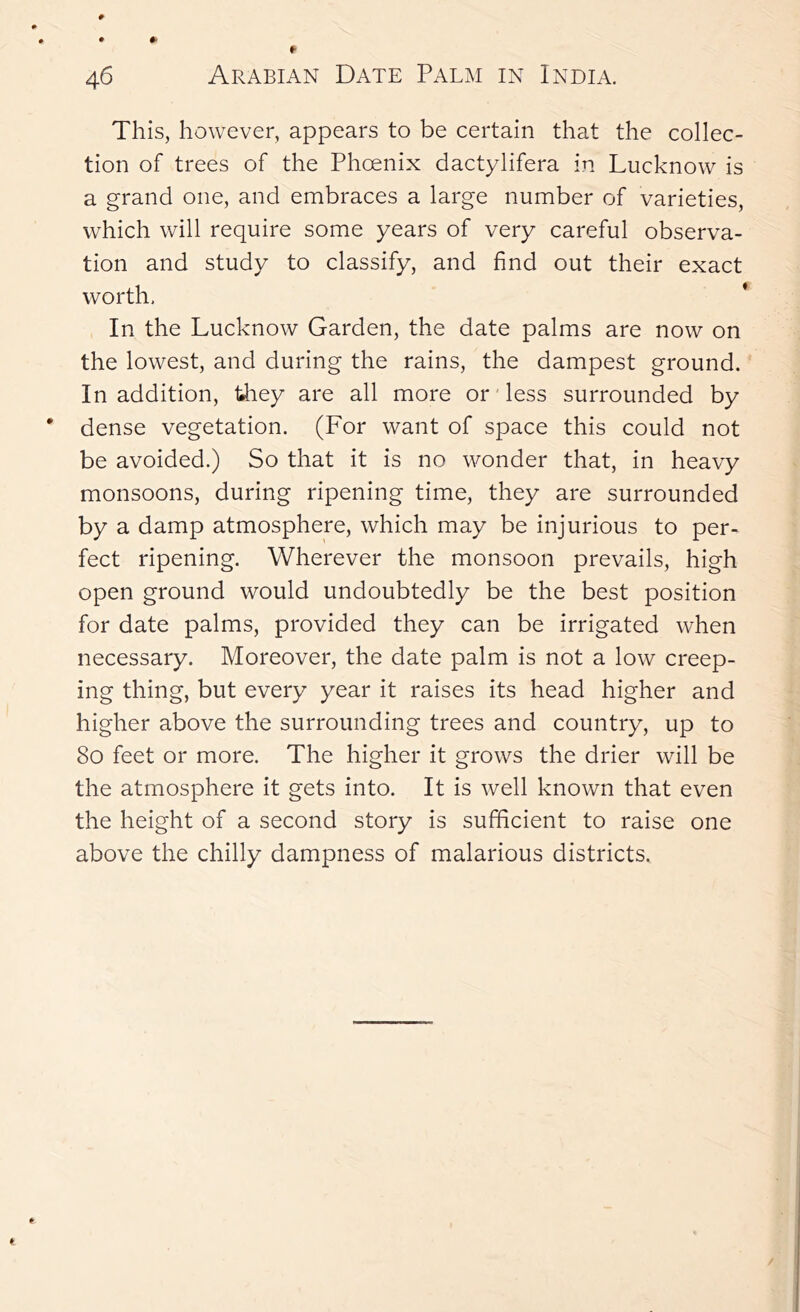 This, however, appears to be certain that the collec- tion of trees of the Phoenix dactylifera in Lucknow is a grand one, and embraces a large number of varieties, which will require some years of very careful observa- tion and study to classify, and find out their exact worth, In the Lucknow Garden, the date palms are now on the lowest, and during the rains, the dampest ground. In addition, tiiey are all more or'less surrounded by dense vegetation. (For want of space this could not be avoided.) So that it is no wonder that, in heavy monsoons, during ripening time, they are surrounded by a damp atmosphere, which may be injurious to per- fect ripening. Wherever the monsoon prevails, high open ground would undoubtedly be the best position for date palms, provided they can be irrigated when necessary. Moreover, the date palm is not a low creep- ing thing, but every year it raises its head higher and higher above the surrounding trees and country, up to 8o feet or more. The higher it grows the drier will be the atmosphere it gets into. It is well known that even the height of a second story is sufficient to raise one above the chilly dampness of malarious districts.