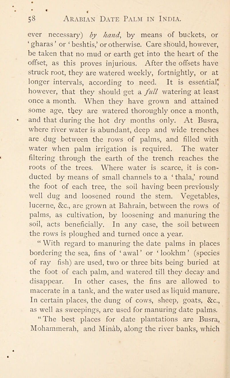 t • ♦ 58 Arabian Date Palm in India. ever necessary) by hand, by means of buckets, or ‘ gharas ’ or ^ beshtis,’ or otherwise. Care should, however, be taken that no mud or earth get into the heart of the offset, as this proves injurious. After the offsets have struck root, they are watered weekly, fortnightly, or at longer intervals, according to need. It is essefitial', however, that they should get a ftdl watering at least once a month. When they have grown and attained some age, they are watered thoroughly once a month, ‘ and that during the hot dry months only. At Busra, where river water is abundant, deep and wide trenches are dug between the rows of palms, and filled with water when palm irrigation is required. The water filtering through the earth of the trench reaches the roots of the trees. Where water is scarce, it is con- ducted by means of small channels to a ‘ thala,’ round the foot of each tree, the soil having been previously well dug and loosened round the stem. Vegetables, lucerne, &c., are grown at Bahrain, between the rows of palms, as cultivation, by loosening and manuring the soil, acts beneficially. In any case, the soil between the rows is ploughed and turned once a year. “ With regard to manuring the date palms in places bordering the sea, fins of ‘ awal ’ or ‘ lookhm ’ (species of ray fish) are used, two or three bits being buried at the foot of each palm, and watered till they decay and disappear. In other cases, the fins are allowed to macerate in a tank, and the water used as liquid manure. In certain places, the dung of cows, sheep, goats, &c., as well as sweepings, are used for manuring date palms. “The best places for date plantations are Busra, Mohammerah, and Minab, along the river banks, which