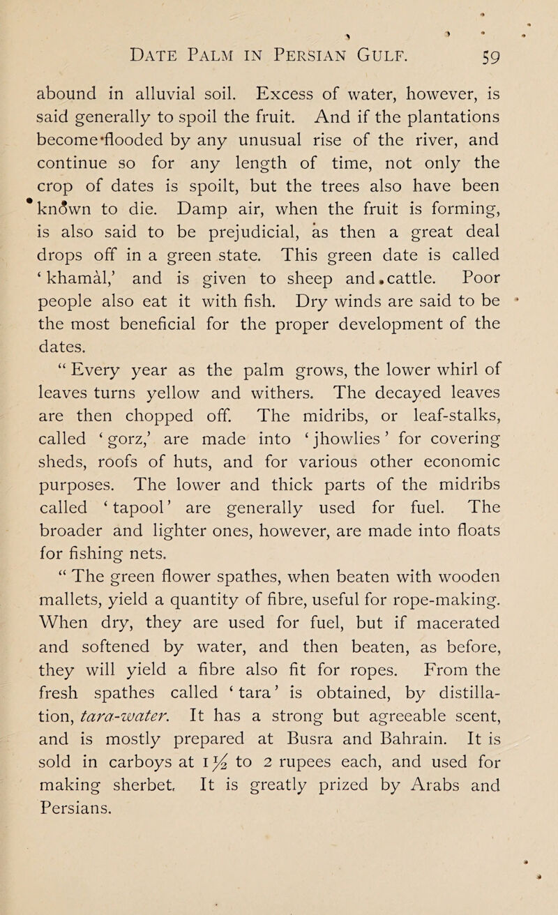 abound in alluvial soil. Excess of water, however, is said generally to spoil the fruit. And if the plantations become‘flooded by any unusual rise of the river, and continue so for any length of time, not only the crop of dates is spoilt, but the trees also have been * kndwn to die. Damp air, when the fruit is forming, is also said to be prejudicial, as then a great deal drops off in a green state. This green date is called ‘ khamM,’ and is given to sheep and.cattle. Poor people also eat it with fish. Dry winds are said to be the most beneficial for the proper development of the dates. “ Every year as the palm grows, the lower whirl of leaves turns yellow and withers. The decayed leaves are then chopped off. The midribs, or leaf-stalks, called ‘ gorz,’ are made into ‘jhowlies’ for covering sheds, roofs of huts, and for various other economic purposes. The lower and thick parts of the midribs called ‘ tapool ’ are generally used for fuel. The broader and lighter ones, however, are made into floats for fishing nets. “ The green flower spathes, when beaten with wooden mallets, yield a quantity of fibre, useful for rope-making. When dry, they are used for fuel, but if macerated and softened by water, and then beaten, as before, they will yield a fibre also fit for ropes. From the fresh spathes called ‘ tara ’ is obtained, by distilla- tion, tara-water. It has a strong but agreeable scent, and is mostly prepared at Busra and Bahrain. It is sold in carboys at to 2 rupees each, and used for making sherbet It is greatly prized by Arabs and Persians.