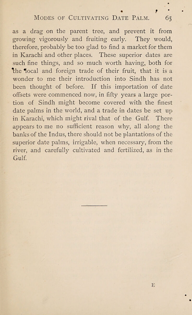 • r Modes of Cultivating Date Palm. 65 as a drag on the parent tree, and prevent it from growing vigorously and fruiting early. They would, therefore, probably be too glad to find a market for them in Karachi and other places. These superior dates are such fine things, and so much worth having, both for \he •local and foreign trade of their fruit, that it is a wonder to me their introduction into Sindh has not been thought of before. If this importation of date offsets were commenced now, in fifty years a large por- tion of Sindh might become covered with the finest date palms in the world, and a trade in dates be set up in Karachi, which might rival that of the Gulf There appears to me no sufficient reason why, all along the banks of the Indus, there should not be plantations of the superior date palms, irrigable, when necessary, from the river, and carefully cultivated and fertilized, as in the Gulf E