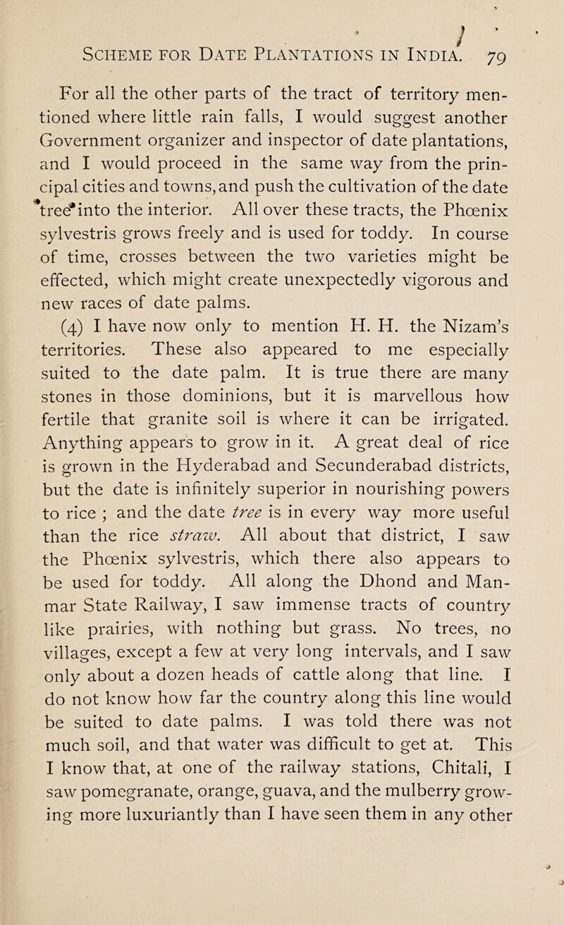 For all the other parts of the tract of territory men- tioned where little rain falls, I would suggest another Government organizer and inspector of date plantations, and I would proceed in the same way from the prin- cipal cities and towns, and push the cultivation of the date tree'*into the interior. All over these tracts, the Phoenix sylvestris grows freely and is used for toddy. In course of time, crosses between the two varieties might be effected, which might create unexpectedly vigorous and new races of date palms. (4) I have now only to mention H. H. the Nizam’s territories. These also appeared to me especially suited to the date palm. It is true there are many stones in those dominions, but it is marvellous how fertile that granite soil is where it can be irrigated. Anything appears to grow in it. A great deal of rice is grown in the Hyderabad and Secunderabad districts, but the date is infinitely superior in nourishing powers to rice ; and the date tree is in every way more useful than the rice strazu. All about that district, I saw the Phoenix sylvestris, which there also appears to be used for toddy. All along the Dhond and Man- mar State Railway, I saw immense tracts of country like prairies, with nothing but grass. No trees, no villages, except a few at very long intervals, and I saw only about a dozen heads of cattle along that line. I do not know how far the country along this line would be suited to date palms. I was told there was not much soil, and that water was difficult to get at. This I know that, at one of the railway stations, Chitali, I saw pomegranate, orange, guava, and the mulberry grow- ing more luxuriantly than I have seen them in any other