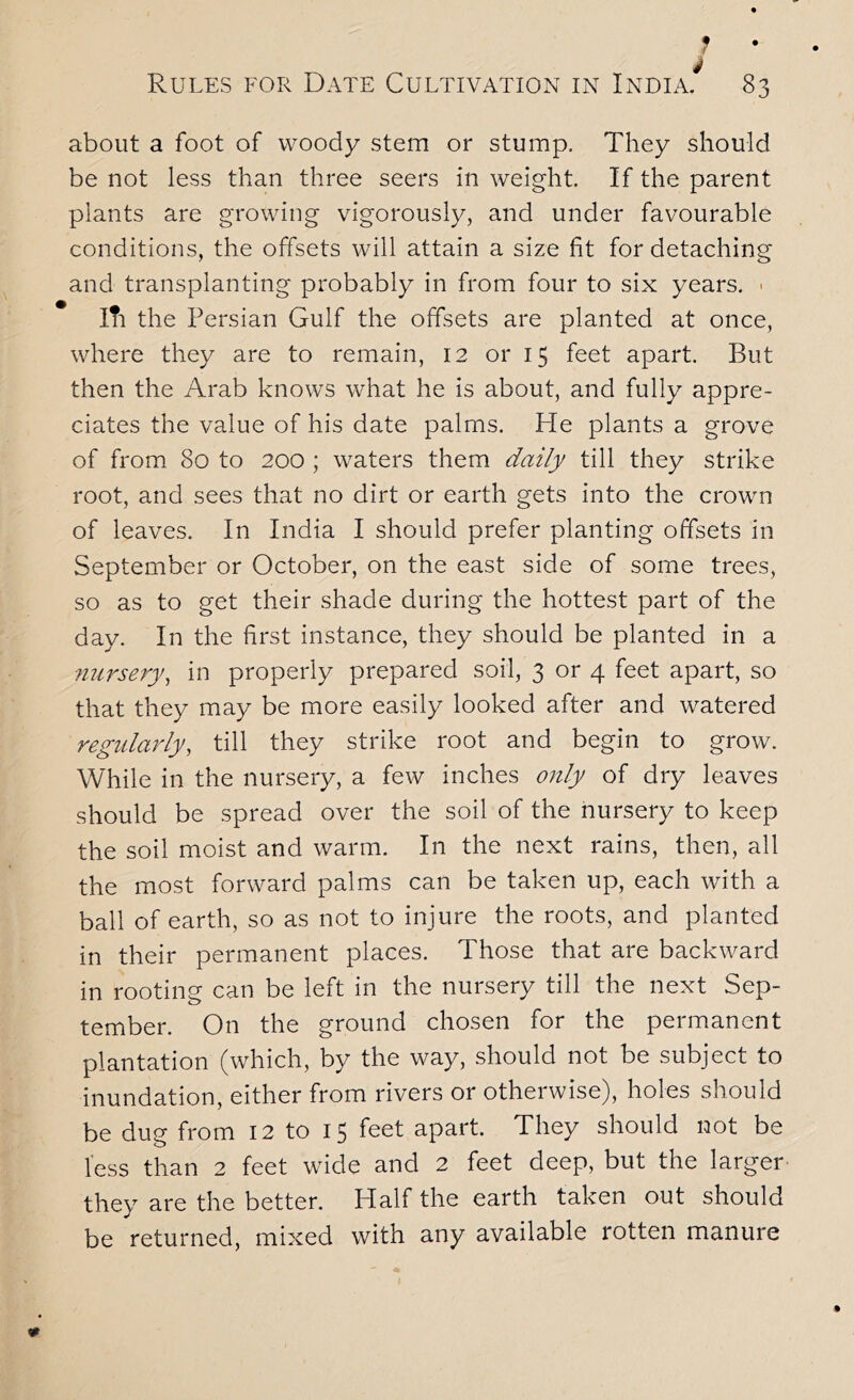 ? • i Rules for Date Cultivation in India, 83 about a foot of ivoody stem or stump. They should be not less than three seers in weight. If the parent plants are growing vigorously, and under favourable conditions, the offsets will attain a size fit for detaching and transplanting probably in from four to six years. > I?i the Persian Gulf the offsets are planted at once, where they are to remain, 12 or 15 feet apart. But then the Arab knows what he is about, and fully appre- ciates the value of his date palms. He plants a grove of from 80 to 200 ; waters them daily till they strike root, and sees that no dirt or earth gets into the crown of leaves. In India I should prefer planting offsets in September or October, on the east side of some trees, so as to get their shade during the hottest part of the day. In the first instance, they should be planted in a nursery, in properly prepared soil, 3 or 4 feet apart, so that they may be more easily looked after and watered regidarly, till they strike root and begin to grow. While in the nursery, a few inches only of dry leaves should be spread over the soil of the nursery to keep the soil moist and warm. In the next rains, then, all the most forward palms can be taken up, each with a ball of earth, so as not to injure the roots, and planted in their permanent places. Those that are backward in rooting can be left In the nursery till the next Sep- tember. On the ground chosen for the permanent plantation (which, by the way, should not be subject to inundation, either from rivers or otherwise), holes should be dug from 12 to 15 feet apart. They should not be less than 2 feet wide and 2 feet deep, but the larger they are the better. Half the earth taken out should be returned, mixed with any available rotten manure