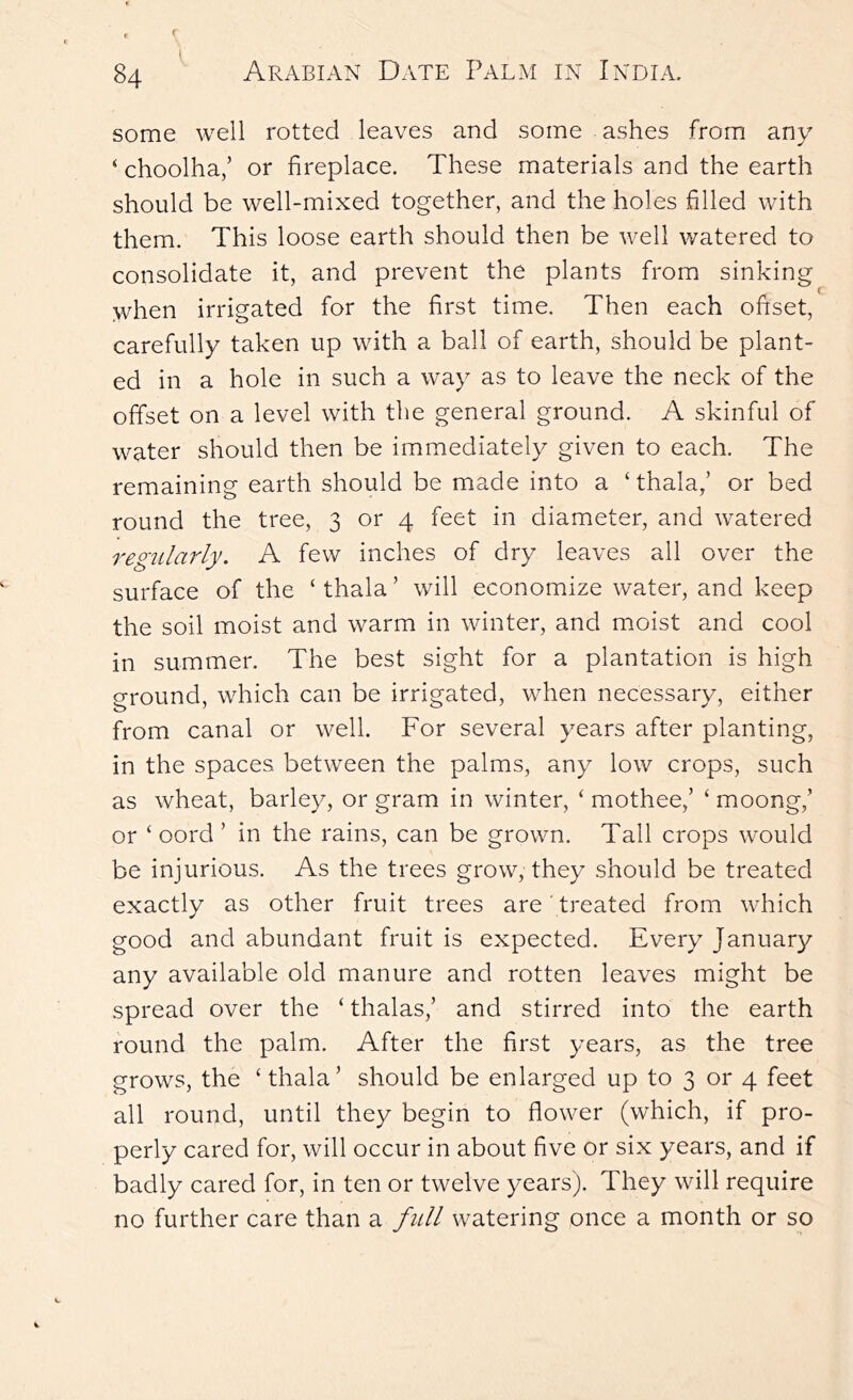 some well rotted leaves and some ashes from any ‘ choolha/ or fireplace. These materials and the earth should be well-mixed together, and the holes filled with them. This loose earth should then be well watered to consolidate it, and prevent the plants from sinking when irrigated for the first time. Then each offset, carefully taken up with a ball of earth, should be plant- ed in a hole in such a way as to leave the neck of the offset on a level with the general ground. A skinful of water should then be immediately given to each. The remaining earth should be made into a ‘ thalaf or bed round the tree, 3 or 4 feet in diameter, and watered regularly. A few inches of dry leaves all over the surface of the ‘ thala ’ will economize water, and keep the soil moist and warm in winter, and moist and cool in summer. The best sight for a plantation is high ground, which can be irrigated, when necessary, either from canal or well. For several years after planting, in the spaces between the palms, any low crops, such as wheat, barley, or gram in winter, ‘ mothee,’ ‘ moong,’ or ‘ oord ’ in the rains, can be grown. Tall crops would be injurious. As the trees grow, they should be treated exactly as other fruit trees are treated from which good and abundant fruit is expected. Every January any available old manure and rotten leaves might be spread over the ‘ thalas,’ and stirred into the earth round the palm. After the first years, as the tree grows, the ‘ thala’ should be enlarged up to 3 or 4 feet all round, until they begin to flower (which, if pro- perly cared for, will occur in about five or six years, and if badly cared for, in ten or twelve years). They will require no further care than a full watering once a month or so