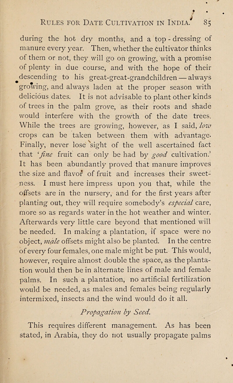 during the hot dry months, and a top - dressing of manure every year. Then, whether the Cultivator thinks of them or not, they will go on growing, with a promise of plenty in due course, and with the hope of their descending to his great-great-grandchildren — always growing, and always laden at the proper season with delicious dates. It is not advisable to plant other kinds of trees in the palm grove, as their roots and shade would interfere with the growth of the date trees. While the trees are growing, however, as I said, low crops can be taken between them with advantage. Finally, never lose ^sight of the well ascertained fact that fine fruit can only be had by good cultivation.’ It has been abundantly proved that manure improves the size and flavor of fruit and increases their sweet- ness. I must here impress upon you that, while the oflsets are in the nursery, and for the first years after planting out, they will require somebody’s especial care, more so as regards water in the hot weather and winter. Afterwards very little care beyond that mentioned will be needed. In making a plantation, if space were no object, male offsets might also be planted. In the centre of every four females, one male might be put. This would, however, require almost double the space, as the planta- tion would then be in alternate lines of male and female palms. In such a plantation, no artificial fertilization would be needed, as males and females being regularly intermixed, insects and the wind would do it all. Propagation by Seed. This requires different management. As has been stated, in Arabia, they do not usually propagate palms