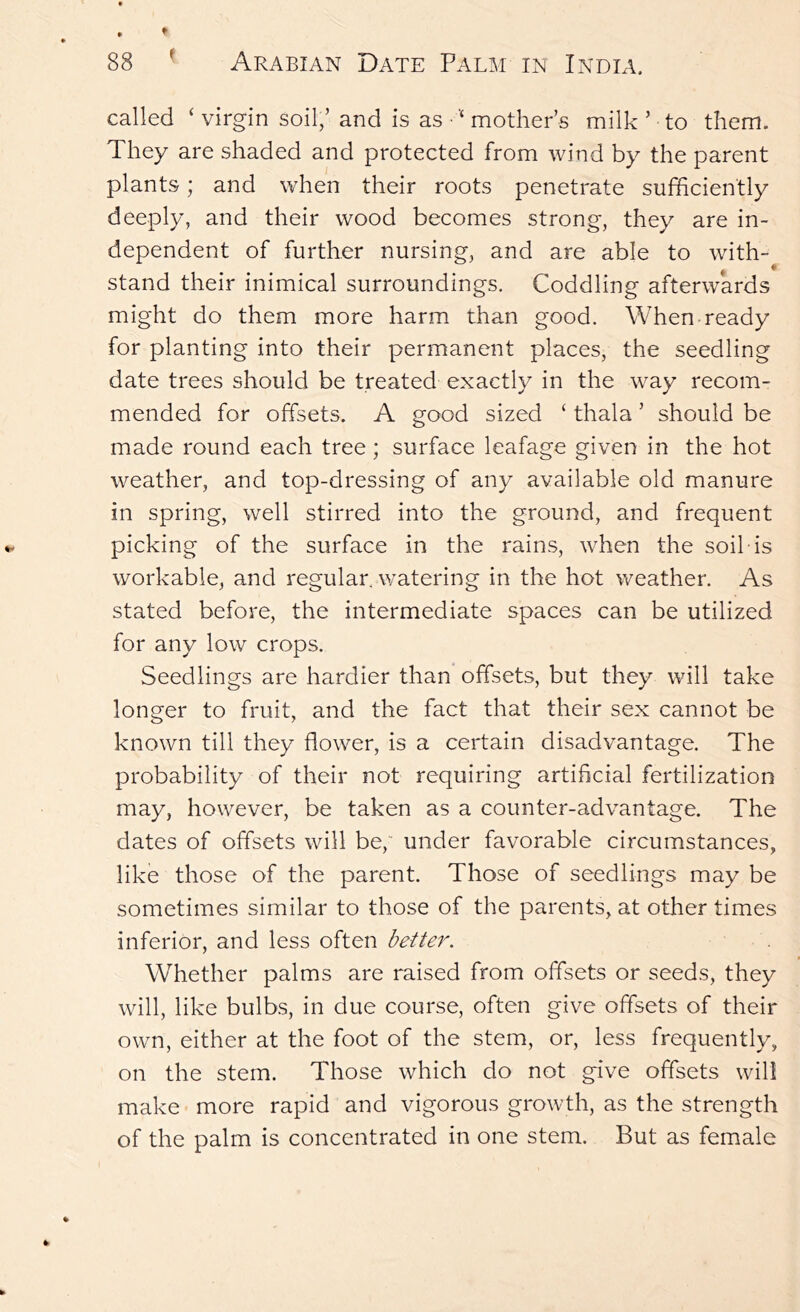 called ‘ virgin soil,’ and is as ■mother’s milk ’ to them. They are shaded and protected from wind by the parent plants; and when their roots penetrate sufficiently deeply, and their wood becomes strong, they are in- dependent of further nursing, and are able to with- stand their inimical surroundings. Coddling afterwards might do them more harm than good. When-ready for planting into their permanent places, the seedling date trees should be treated exactly in the way recom- mended for offsets. A good sized ‘ thala ’ should be made round each tree ; surface leafage given in the hot weather, and top-dressing of any available old manure in spring, well stirred into the ground, and frequent picking of the surface in the rains, wffien the soil is workable, and regular, watering in the hot weather. As stated before, the intermediate spaces can be utilized for any low crops. Seedlings are hardier than offsets, but they will take longer to fruit, and the fact that their sex cannot be known till they flower, is a certain disadvantage. The probability of their not requiring artificial fertilization may, however, be taken as a counter-advantage. The dates of offsets will be,' under favorable circumstances, like those of the parent. Those of seedlings may be sometimes similar to those of the parents, at other times inferior, and less often better. Whether palms are raised from offsets or seeds, they will, like bulbs, in due course, often give offsets of their own, either at the foot of the stem, or, less frequently, on the stem. Those which do not give offsets will make more rapid and vigorous growth, as the strength of the palm is concentrated in one stem. But as female