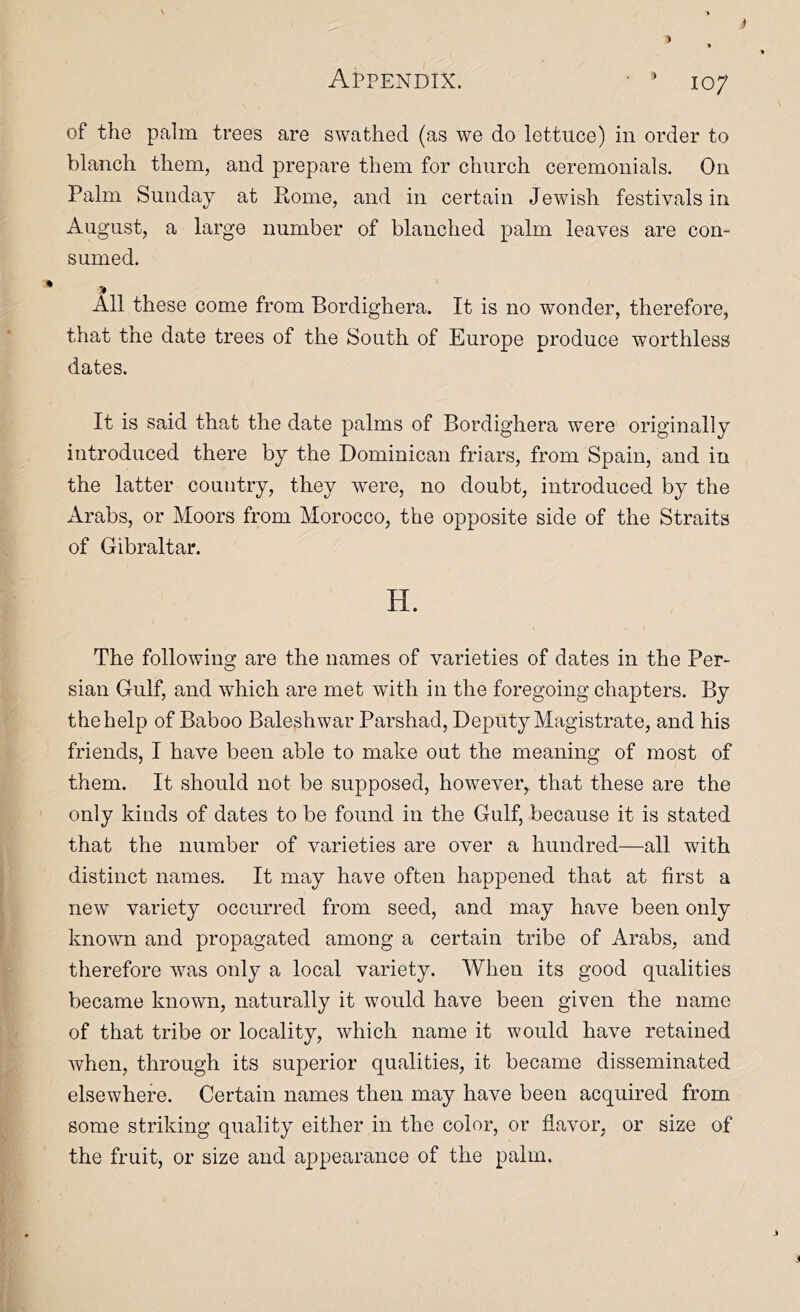 1 Appendix. • ^ 107 of the palm trees are swathed (as we do lettuce) in order to blanch them, and prepare them for chnrch ceremonials. On Palm Sunday at Rome, and in certain Jewish festivals in August, a large number of blanched palm leaves are con- sumed. All these come from Bordighera. It is no wonder, therefore, that the date trees of the South of Europe produce worthless dates. It is said that the date palms of Bordighera were originally introduced there by the Dominican friars, from Spain, and in the latter country, they w^ere, no doubt, introduced by the Arabs, or Moors from Morocco, the opposite side of the Straits of Gibraltar. H. The following are the names of varieties of dates in the Per- sian Gulf, and which are met with in the foregoing chapters. By the help of Baboo Baleshwar Parshad, Deputy Magistrate, and his friends, I have been able to make out the meaning of most of them. It should not be supposed, however, that these are the only kinds of dates to be found in the Gulf, because it is stated that the number of varieties are over a hundred—all with distinct names. It may have often happened that at first a new variety occurred from seed, and may have been only known and propagated among a certain tribe of Arabs, and therefore was only a local variety. When its good qualities became known, naturally it would have been given the name of that tribe or locality, which name it would have retained when, through its superior qualities, it became disseminated elsewhere. Certain names then may have been acquired from some striking quality either in the color, or flavor, or size of the fruit, or size and appearance of the palm. i J