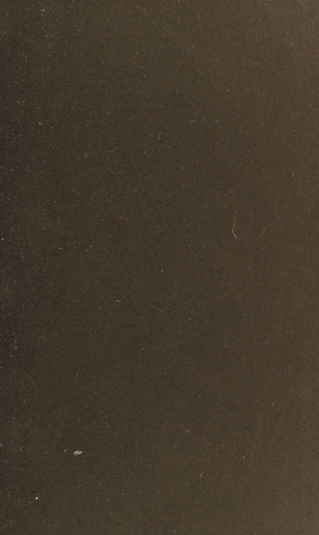 digitised image 3