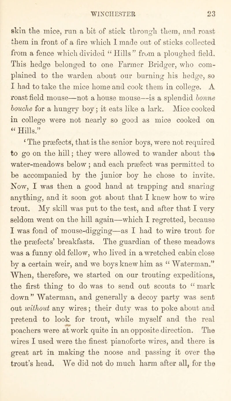 slvin the mice, run a hit of stick through them, and roast them in front of a fire which I made out of sticks collected from a fence which divided “Hills” frum a ploughed field. This hedge belonged to one Farmer Bridger, who com- plained to the warden about our burning his hedge, so I had to take the mice home and cook them in college. A roast field mouse—not a house mouse—is a splendid bonne houclie for a hungry boy; it eats like a lark. Mice cooked in college were not nearly so good as mice cooked on “ Hills.” ‘ The prgefects, that is the senior boys, were not required to go on the hill; they were allowed to wander about the water-meadows below; and each prsefect was permitted to be accompanied by the junior boy he chose to invite. Now, I was then a good hand at trapping and snaring anything, and it soon got about that I knew how to wire trout. My skill was put to the test, and after that I very seldom went on the hill again—which I regretted, because I was fond of mouse-digging—as I had to wire trout for the prgefects’ breakfasts. The guardian of these meadows was a funny old fellow, who lived in a wretched cabin close by a certain weir, and we boys knew him as “ Waterman.” When, therefore, we started on our trouting expeditions, the first thing to do was to send out scouts to “ mark down” Waterman, and generally a decoy party was sent out without any wires; their duty was to poke about and pretend to look for trout, while myself and the real poachers were at work quite in an opposite direction. The wires I used were the finest pianoforte wires, and there is great art in making the noose and passing it over the trout’s head. We did not do much harm after all, for the