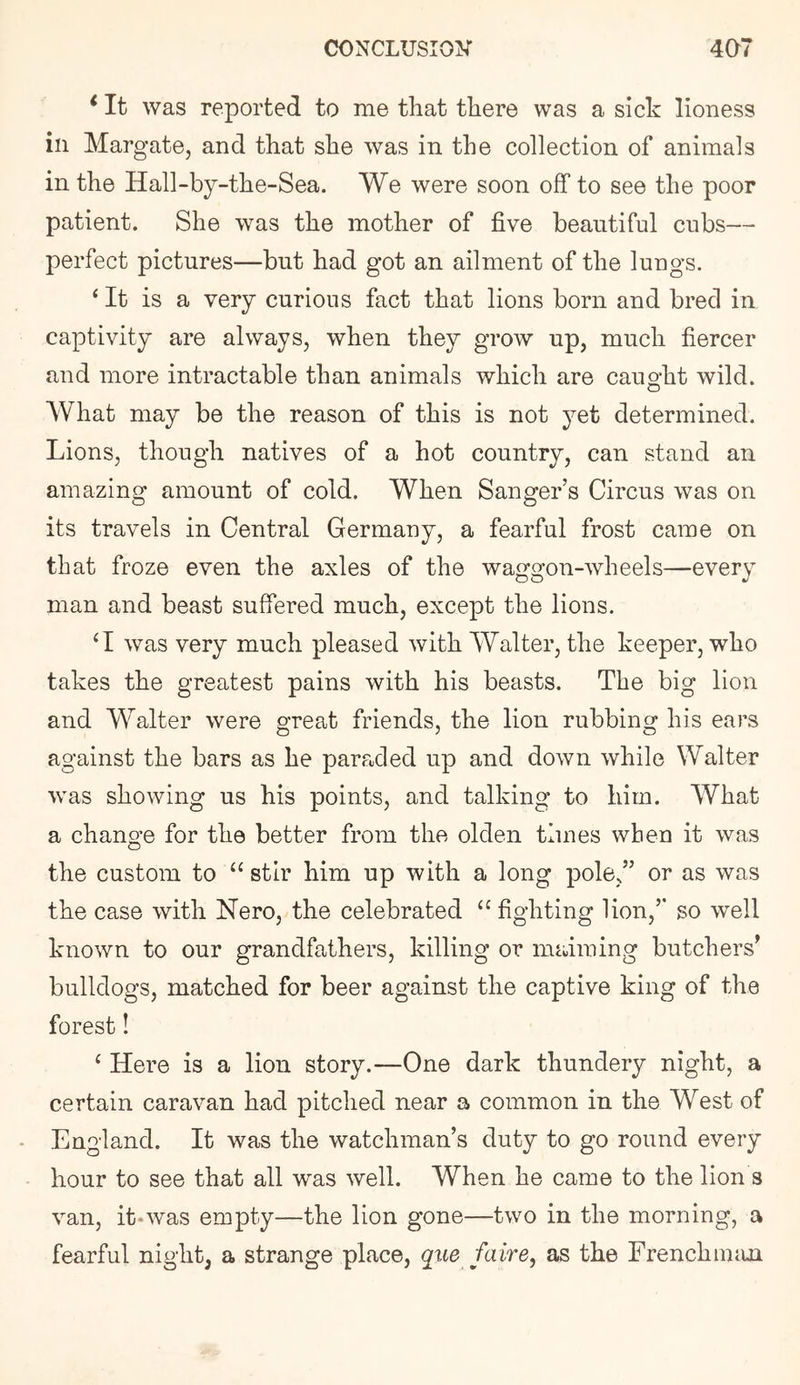 was reported to me that there was a sick lioness in Margate, and that she was in the collection of animals in the Hall-by-the-Sea. We were soon off to see the poor patient. She was the mother of five beautiful cubs— perfect pictures—but had got an ailment of the lungs. ‘ It is a very curious fact that lions born and bred in captivity are always, when they grow up, much fiercer and more intractable than animals which are caught wild. What may be the reason of this is not yet determined. Lions, though natives of a hot country, can stand an amazing amount of cold. When Sanger’s Circus was on its travels in Central Germany, a fearful frost came on that froze even the axles of the waggon-wheels—every man and beast suffered much, except the lions. G was very much pleased with Walter, the keeper, who takes the greatest pains with his beasts. The big lion and Walter were great friends, the lion rubbing his ears against the bars as he paraded up and down while Walter was showing us his points, and talking to him. What a change for the better from the olden times when it was the custom to ‘‘ stir him up with a long pole,” or as was the case with Nero, the celebrated fighting lion,’’ so well known to our grandfathers, killing or maiming butchers’ bulldogs, matched for beer against the captive king of the forest! ^ Here is a lion story.—One dark thundery night, a certain caravan had pitched near a common in the West of England. It was the watchman’s duty to go round every hour to see that all was well. When he came to the lion s van, it'Was empty—the lion gone—two in the morning, a fearful night, a strange place, qiie faire, as the Frenchiuiin