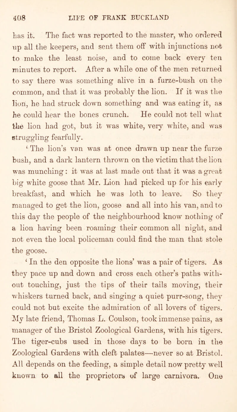 has it. The fact was reported to the master, who ordered up all the keepers, and sent them off with injunctions not to make the least noise, and to come back every ten minutes to report. After a while one of the men returned to say there was something alive in a furze-bush on the common, and that it was probably the lion. If it was the lion, he had struck down something and was eating it, as he could hear the bones crunch. He could not tell what the lion had got, but it was white, very white, and was struggling fearfully. ‘ Tlie lion’s van was at once drawn up near the furze bush, and a dark lantern throv/n on the victim that the lion was munching: it was at last made out that it was a great big white goose that Mr. Lion had picked up for his early breakfast, and which he was loth to leave. So they managed to get the lion, goose and all into his van, and to this day the people of the neighbourhood know nothing of a lion having been roaming their common all night, and not even the local policeman could find the man that stole the goose. ‘ In the den opposite the lions’ was a pair of tigers. As they pace up and down and cross each other’s paths with- out touching, just the tips of their tails moving, their whiskers turned back, and singing a quiet purr-song, they could not but excite the admiration of all lovers of tigers. My late friend, Thomas L. Coulson, took immense pains, as manager of the Bristol Zoological Gardens, with his tigers. The tiger-cubs used in those days to be born in the Zoological Gardens with cleft palates—never so at Bristol. All depends on the feeding, a simple detail now pretty well known to all the proprietorb of large carnivora. One