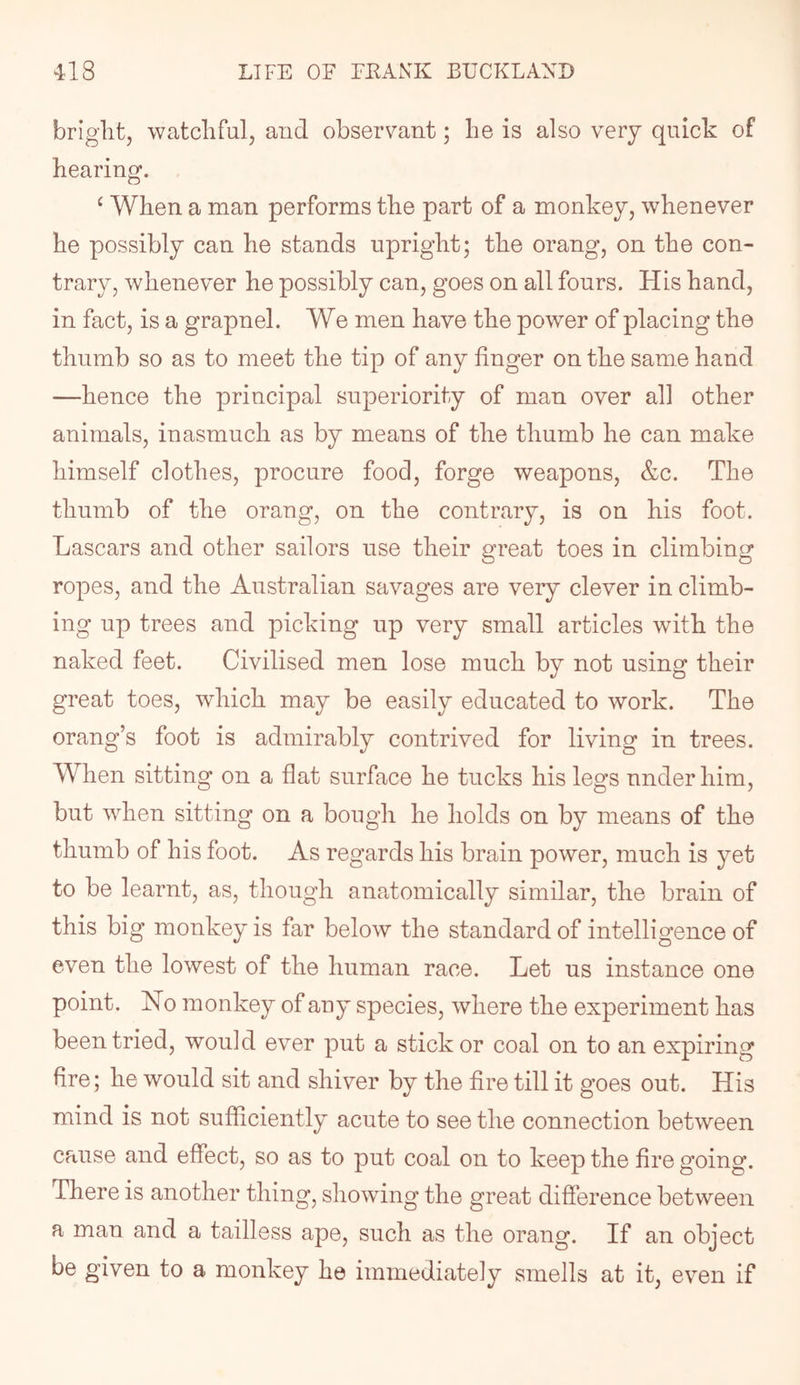 briglit, watchful, and observant; lie is also very quick of hearing. ‘ When a man performs the part of a monkey, whenever he possibly can he stands upright; the orang, on the con- trary, whenever he possibly can, goes on all fours. His hand, in fact, is a grapnel. We men have the power of placing the thumb so as to meet the tip of any finger on the same hand —hence the principal superiority of man over all other animals, inasmuch as by means of the thumb he can make himself clothes, procure food, forge weapons, &c. The thumb of the orang, on the contrary, is on his foot. Lascars and other sailors use their great toes in climbing ropes, and the Australian savages are very clever in climb- ing up trees and picking up very small articles with the naked feet. Civilised men lose much by not using their great toes, which may be easily educated to work. The orang’s foot is admirably contrived for living in trees. When sitting on a flat surface he tucks his legs under him, but when sitting on a bough he holds on by means of the thumb of his foot. As regards his brain power, much is yet to be learnt, as, though anatomically similar, the brain of this big monkey is far below the standard of intelligence of even the lowest of the human race. Let us instance one point. No monkey of any species, where the experiment has been tried, would ever put a stick or coal on to an expiring Are; he would sit and shiver by the fire till it goes out. His mind is not sufficiently acute to see the connection between cause and effect, so as to put coal on to keep the fire going. There is another thing, showing the great difference between a man and a tailless ape, such as the orang. If an object be given to a monkey he immediately smells at it, even if