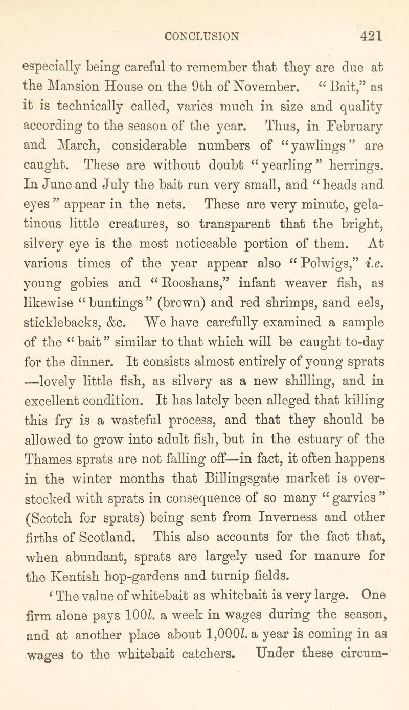 especially being careful to remember that tbey are due at the Mansion House on tbe 9tli of November. Bait,” as it is technically called, varies much in size and quality according to the season of the year. Thus, in February and March, considerable numbers of ‘^yawlings” are caught. These are without doubt “ yearling ” herrings. In June and July the bait run very small, and heads and eyes ” appear in the nets. These are very minute, gela- tinous little creatures, so transparent that the bright, silvery eye is the most noticeable portion of them. At various times of the year appear also “ Polwigs,” i.e. young gobies and Eooshans,” infant weaver fish, as likewise buntings ” (brown) and red shrimps, sand eels, sticklebacks, &c. We have carefully examined a sample of the bait ” similar to that which will be caught to-day for the dinner. It consists almost entirely of young sprats —lovely little fish, as silvery as a new shilling, and in excellent condition. It has lately been alleged that killing this fry is a wasteful process, and that they should be allowed to grow into adult fish, but in the estuary of the Thames sprats are not falling off—in fact, it often happens in the winter months that Billingsgate market is over- stocked with sprats in consequence of so many “ garvies ” (Scotch for sprats) being sent from Inverness and other firths of Scotland. This also accounts for the fact that, when abundant, sprats are largely used for manure for the Kentish hop-gardens and turnip fields. ‘ The value of whitebait as whitebait is very large. One firm alone pays lOOZ. a week in wages during the season, and at another place about 1,000Z. a year is coming in as wages to the whitebait catchers. Under these circum-