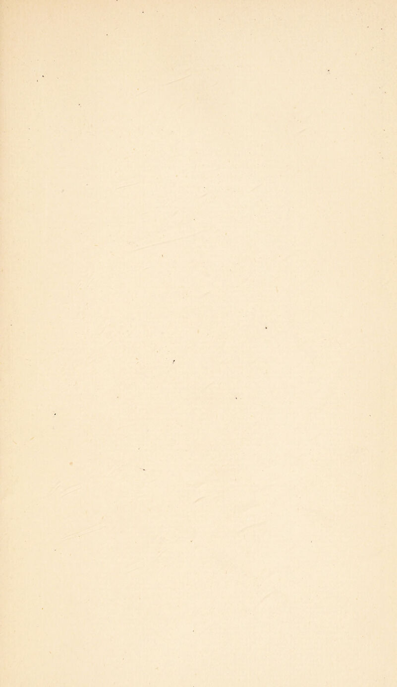 yX' ■ ■T^>-.* ' ' ' M - - \ ■7^ - A ' A > 4'- 'r < S ■/ * . ' ^