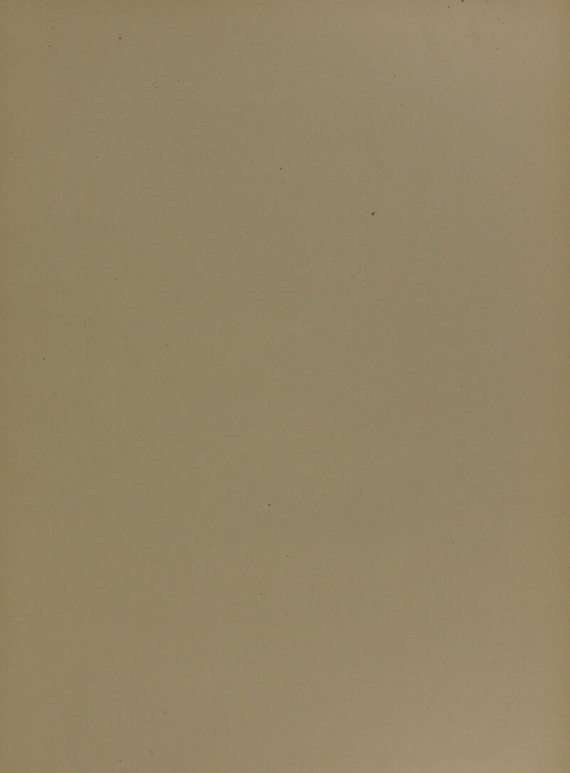 YjC ,' 'i - ■% I V • .1, ^>•V r’»«; V • t ' y % '■y ■ -•.vjlj •' '7 .■.'' K' ^ ’ <y^ A > AJ, * . o * - T ••T- y.' i