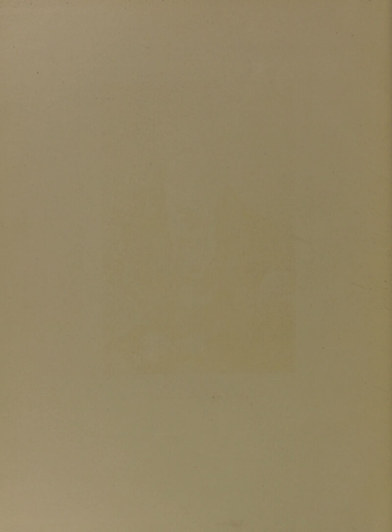 .«■' . . t . -. ‘i-/- .1^.- . ., .-■; ■»! --; wSSt O---: >':, ;i,®, .- , ■' :» '.«^y^.-..- K** ■* 'vsi-i ^Vl '4 k - ... .V ■■V '■’■ t ■ *-:i .•'.T* '•''fc'’'^‘i'k^ ' '■' Li' ■■>. i : *1 i’^: -■ ■■ .r ■ ,.v u -.’- i- v>v-'■ • ^ ■ Vf ^ s /^i-A v> ..‘'S '■y<-