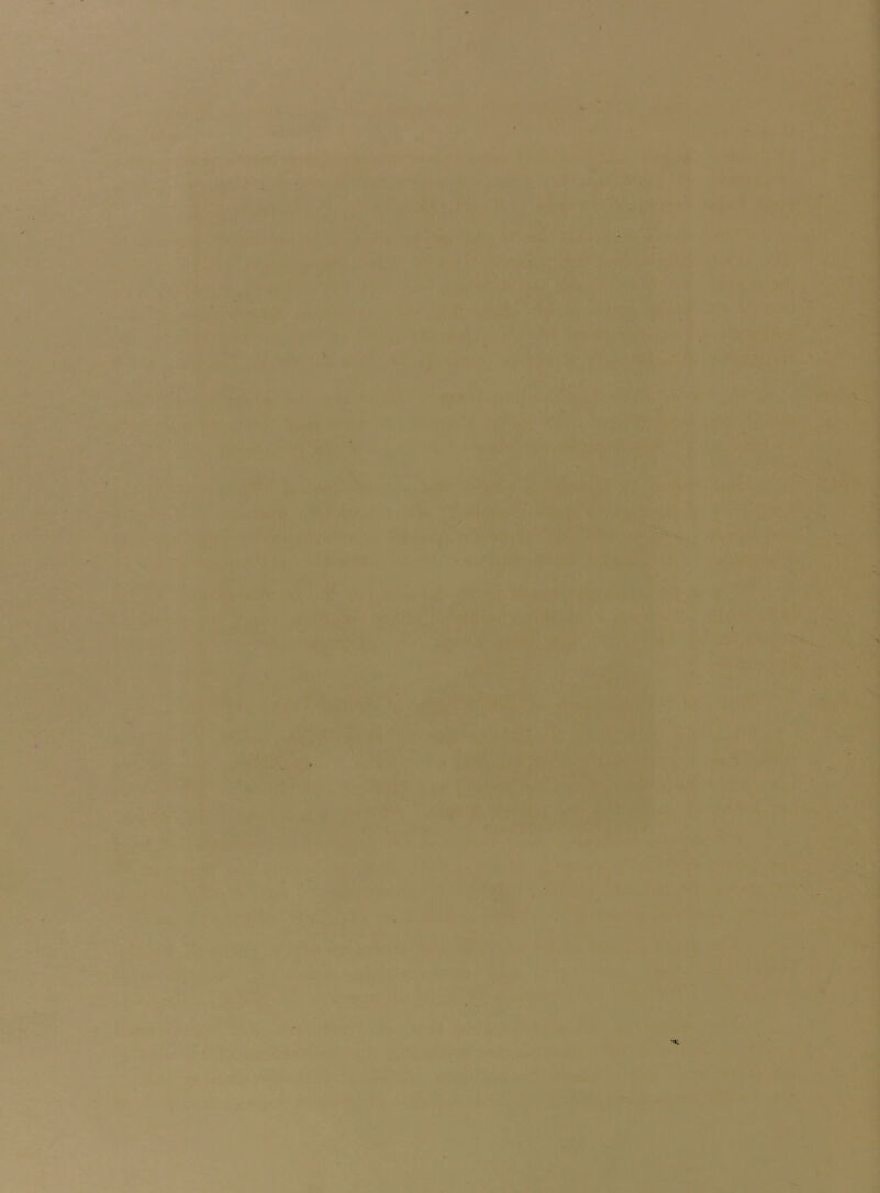 i’.i.v-* .'.'.vi-‘j*. ‘A*;*i^':■. '-^^1 ■ 'I- • k.j f ' i .*•<•' .' ’7 • ,•4 i i ji/' t* ' 'N '*v' , ■' ' ,, *,'f-i. -'-W