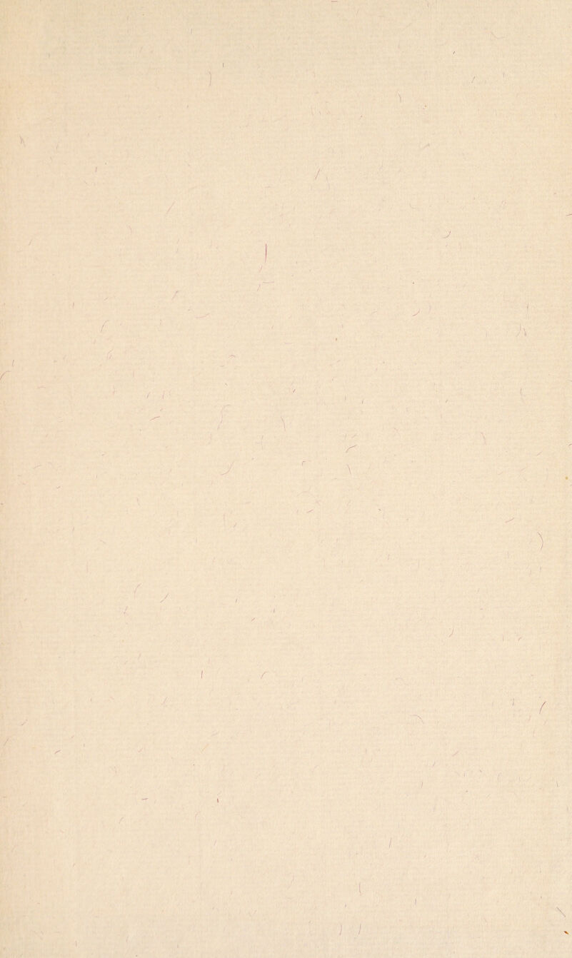 / f \ \ I 1 / , I '1 / / /' \. / j x / i\ / / J / i \ / V ( ' J ^ ► • / / ■ ' ■! N 1 / ; • , f- / ' / / \ ■'V