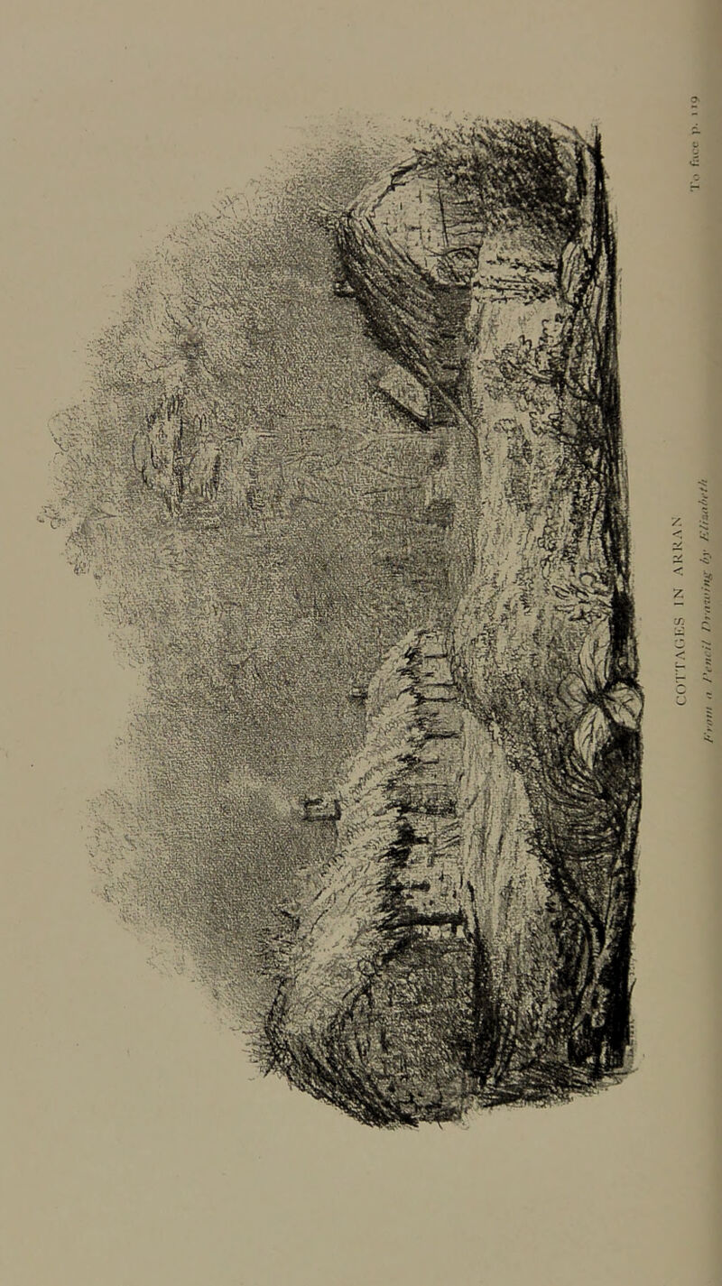 .u) .‘iiuMi'i,/ am.',/ » ///<'<,.