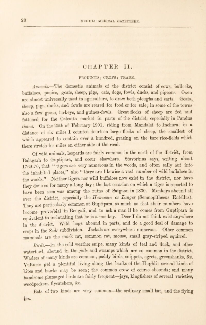 CHAPTER II. PRODUCTS; CROPS; TRADE. Animals.■—The domestic animals of the district consist of cows, bullocks, buffaloes, ponies, goats, sheep, pigs, cats, dogs, fowls, ducks, and pigeons. Oxen are almost universally used in agriculture, to draw both ploughs and carts. Goats,v sheep, pigs, ducks, and fowls are reared for food or for sale; in some of the towns also a few geese, turkeys, and guinea-fowls. Great flocks of sheep are fed and fattened for the Calcutta market in parts of the district, especially in Pandua thana. On the 25th of February 1901, riding from Mandalai to Inchura, in a distance of six miles I counted fourteen large flocks of sheep, the smallest of which appeared to contain over a hundred, grazing on the bare rice-fields which there stretch for miles on either side of the road. Of wild animals, leopards are fairly common in the north of the district, from Balagarh to Guptipara, and occur elsewhere. Stavorinus says, writing about 1769-70, that “ tigers are very numerous in the woods, and often sally out into the inhabited places,1” also “ there are likewise a vast number of wild buffaloes in the woods.” Neither tigers nor wild buffaloes now exist in the district, nor have they done so for many a long day ; the last occasion on which a tiger is reported to have been seen was among the ruins of Satgaon in 1830. Monkeys abound all over the district, especially the Hanuman or Langur (Semnopithecus Entellus). They are particularly common at Guptipara, so much so that their numbers have become proverbial in Bengali, and to ask a man if he comes from Guptipara is equivalent to insinuating that he is a monkey. Deer I do not think exist anywhere in the district. Wild hogs abound in parts, and do a good deal of damage to crops in the Sadr subdivision. Jackals are everywhere numerous. Other common mammals are the musk rat, common rat, mouse, small gray-striped squirrel. Birds.—In the cold weather snipe, many kinds of teal and duck, and other waterfowl, abound in the jhils and swamps which are so common in the district. Waders of many kinds are common, paddy birds, snippets, egrets, greenshanks, &c. Vultures get a plentiful living along the banks of the Hughli; several kinds of kites and hawks may be seen; the common crow of course abounds; and many handsome plumaged birds are fairly frequent—jays, kingfishers of several varieties, woodpeckers, flycatchers, &c. Bats of two kinds are very common—the ordinary small bat, and the flying fox.