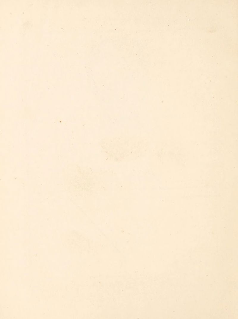 J*v i . *■* 1 t ♦k: « f / S' A' « n