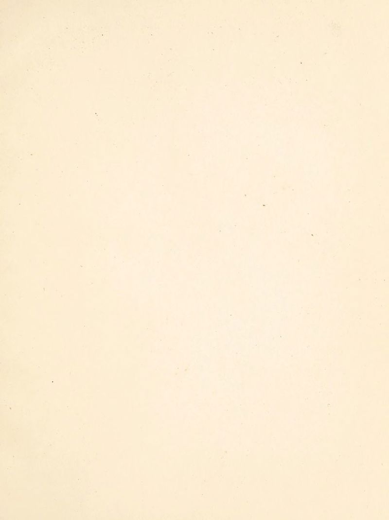 ;?• \ fi:- ■s^ y