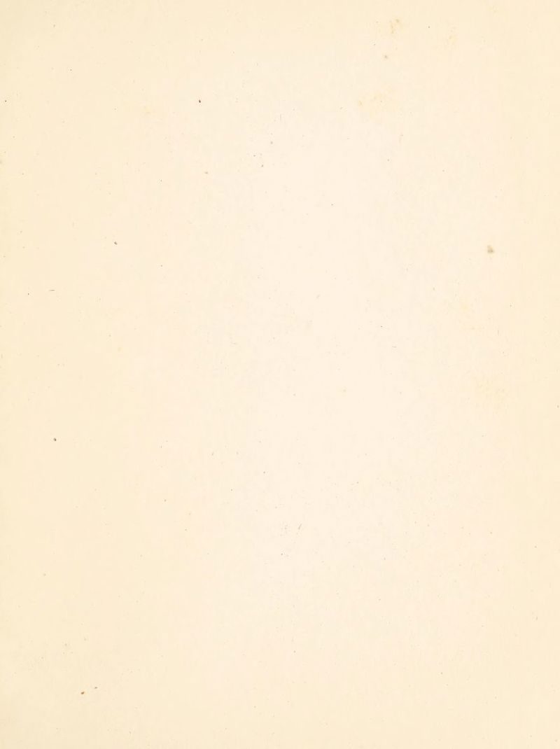 ft f* . f t i 't I I I t • .4:-.. ;r / V. - U r**'* (L