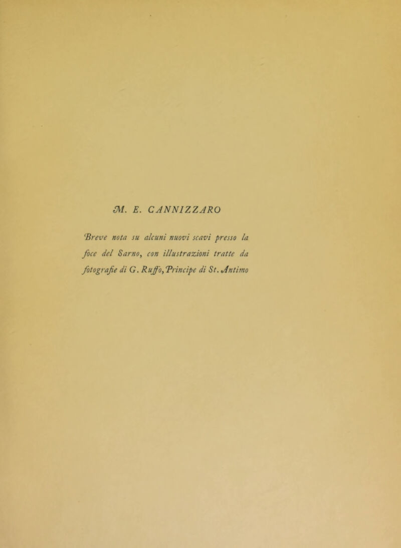 m. E. CANNIZZARO 'Breve nota su alcuni nuovi scavi presso la foce del Sarno, con illustrazioni tratte da fotografie di G. Ruffo, Principe di St. Antimo