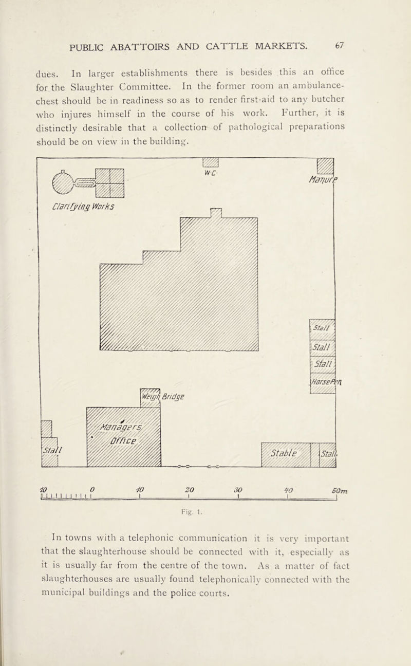 dues. In larger establishments there is besides this an office for the Slaughter Committee. In the former room an ambulance- chest should be in readiness so as to render first-aid to any butcher who injures himself in the course of his work. Lurther, it is distinctly desirable that a collection of pathological preparations should be on view in the building. W'C- flBrjurp Clarifying Works d Stall Stall < : Stall //orseBrn 1 Stall Stable 10 O 10 20 30 A I I I I I I i I I I I . .I . L- Fig. 1. no -i_ 50 m In towns with a telephonic communication it is very important that the slaughterhouse should be connected with it, especially as it is usually far from the centre of the town. As a matter of fact slaughterhouses are usually found telephonically connected with the municipal buildings and the police courts.