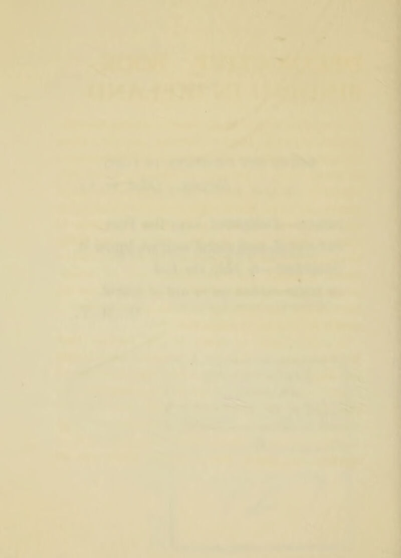«r4 * . » . . •* r> rr* ■^»' ’ ’■ • *  .T V