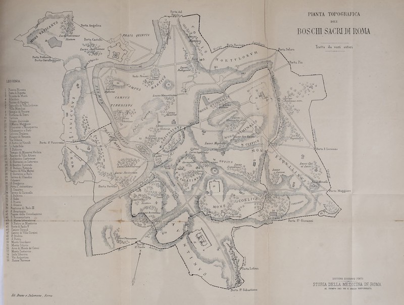 PIANTA TOPOGRAFICA DEI BOSCHI SACRI DI ROMA a vari autori LEGGENDA 1 Piazza Nicosia 2 Ponte qi Pipetta 3 Trinità, de Monti 4 Risi doro 5 Piazza di Spaòna 6 Cancello di' Villa Ludovisi 7 Villa Mandosi 8 Tempio di Venere 9 Fontana di Trevi 10 Certosa 11 Palazzo Quirinale 12 S.Mana Maggiore 13 5 Lorenzo aranisperna 14 S-Domemco e Sisto 15 Colonna Traiana 16 Palazzo di Venezia 17 Via Urbana 18 S.Pietro mVìncoE 19 Le -Sette Sale 20 S Pipiana 21 Tempio di MmervàMedica 22 Palazzo di Villa Altieri 23 Anfiteatro Castrense 2-4 S. Giovanni in Laterano 25 S. Quattro Coronati 26 S. Stefano Rotondo 27 Casino di Villa Mattel 28 S Giovanni e Paolo 29 Terme di Claudio 30 Colosseo 31 S. Greò ori o 32 Porta i>. Sebastiano 33 S. Cesareo 34 Terme di Cara calla 35 S. RaDuna 36 S. Saba 37 S. Prisca 38 S. Alessio 39 Bastione di Paolo PI 40 5. Anastasia 41 Piazza della Consolazione 42 S. Bonaventura 43 o. Maria Liberatrice- 44 S Pietro in Montorio 45 Ponte di Paolo V 46 Casino Giraud 47 Casino di Villa Corsini 48 S Onofrio 49 S. Pietro 50 Monte Giordano 51 Monte Citono 52 Area di Monte de Cenci 53 Monte Testacelo 54 Isola Tiberina 55 Via Argentina 56 Piazza Farnese Maggiore DOTTORE GIUSEPPE FINTO Porta S.1 Sebastiano STORIA DELLA MEDICINA IN ROMA AL TEMPO DEI KB R DELIA REPWHBUCA Zù. Bruno e Salomone, Soma