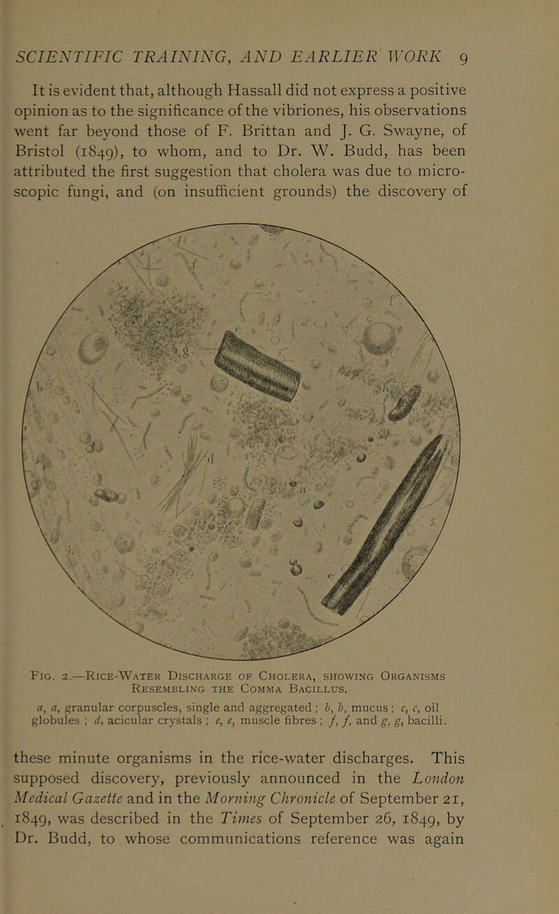 It is evident that, although Hassall did not express a positive opinion as to the significance of the vibriones, his observations went far beyond those of F. Brittan and J. G. Swayne, of Bristol (1849), to whom, and to Dr. W. Budd, has been attributed the first suggestion that cholera was due to micro- scopic fungi, and (on insufficient grounds) the discovery of Fig. 2.—Rice-Water Discharge of Cholera, showing Organisms Resembling the Comma Bacillus. a, a, granular corpuscles, single and aggregated ; 6, h, mucus; c, c, oil globules ; d, acicular crystals ; e, e, muscle fibres ; /, /, and g. g, bacilli. these minute organisms in the rice-water discharges. This supposed discovery, previously announced in the London Medical Gazette and in the Morning Chronicle of September 21, 1849, was described in the Times of September 26, 1849, by Dr. Budd, to whose communications reference was again