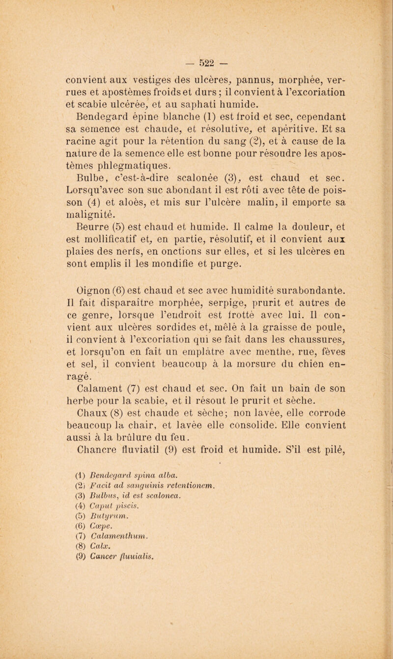 convient aux vestiges des ulcères^ pannus, morphée, ver- rues et apostèmes froids et durs ; il convient à l’excoriation et scabie ulcérée^ et au saphati humide. Bendegard épine blanche (1) est Iroid et sec, cependant sa semence est chaude, et résolutive^ et apéritive. Et sa racine agit pour la rétention du sang (2), et à cause de la nature de la semence elle est bonne pour résoudre les apos- tèmes phlegmatiques. Bulbe, c’est-à-dire scalonée (3)^ est chaud et sec. Lorsqu’avec son suc abondant il est rôti avec tête de pois- son (4) et aloès, et mis sur l’ulcère malin, il emporte sa malignité. Beurre (5) est chaud et humide. Il calme la douleur, et est mollilicatif et, en partie, résolutif, et il convient aux plaies des nerfs, en onctions sur elles, et si les ulcères en sont emplis il les mondifie et purge. Oignon (6) est chaud et sec avec humidité surabondante. Il fait disparaître morphée, serpige, prurit et autres de ce genre, lorsque l’endroit est frotté avec lui. Il con- vient aux ulcères sordides et, mêlé à la graisse de poule, il convient à l’excoriation qui se fait dans les chaussures, et lorsqu’on en fait un emplâtre avec menthe, rue, fèves et sel, il convient beaucoup à la morsure du chien en- ragé. Calament (7) est chaud et sec. On fait un bain de son herbe pour la scabie, et il résout le prurit et sèche. Chaux (8) est chaude et sèche; non lavée, elle corrode beaucoup la chair, et lavée elle consolide. Elle convient aussi à la brûlure du feu. Chancre fluviatil (9) est froid et humide. S’il est pilé, (1) Bendegard spina alba. (2) Facit ad sanguinis retentionem. (3) Bulhus, id est scalonea. (4) Caput piscis. (5) Butyrum. (6) Cœpe. (7) Calamenthum. (8) Calx. (9) Cancer fluuialis.