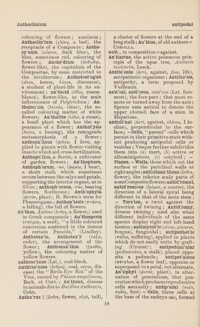 Anthoclinium colouring of flowers; xanthein ; Anthoclin’ium (xdivy, a bed), the receptacle of a Composite; Antho- cy’anin (xvavos, dark blue), the blue, sometimes red, colouring of flowers; Antho’dium (dv0wdys, flower-like), the capitulum of the Compositae, by some restricted to the involucrum; Anthoécol’ogist (otkos, house, Ddyos, discourse), a student of plant-life in its en- vironment; an’thoid (e?dos, resem- blance), flower-like, as the male inflorescence of Polytrichum,; An- tholeu’cin (Aevkos, clear), the so- called colouring matter of white flowers; An’tholite (A/Gos, a stone), a fossil plant which has the ap- pearance of a flower; Anthol’ysis (Avows, a loosing), the retrograde metamorphosis of a _ flower; anthoph’ilous (¢i\éw, I love, ap- plied to plants with flower-visiting insects which aid cross-fertilization. Anthoph’‘ilus, a florist, a cultivator of garden flowers; An’thophore, Anthoph’orum, -ws, (dopéw, I bear), a short stalk which sometimes occurs between the calyx and petals, supporting the interior organs, as in Silene ; anthoph’orous, -rus, bearing flowers, floriferous; Anth’ophyta (purov, plant), R. Brown’s term for Phanerogams ; Anthop’tosis (1rdous, a falling), the fall of flowers. An'thos, Anthus (dvos, a flower,) used in Greek compounds ; An’thosperm (orépua, a seed), ‘‘a little coloured concretion scattered in the tissues of certain Fucoids,” (Lindley). Anthotax’is, Anthotax’y (rdéus, order), the arrangement of the flower; Anthoxan’thin (fav0os, yellow), the colouring matter of yellow flowers. anthrac’inus (Lat.), coal-black. Anthrac’nose (dv0pat, coal, vdcos, dis- ease) the ‘‘ Birds-Eye Rot” of the Vine, caused by Phoma ampelinum, Berk. et Curt. ; An’thrax, disease in animals due to Bacillus Anthracis, Cohn. Anthu’rus + (dvdos, flower, ovpa, tail), 18 antipodal a cluster of flowers at the end of a long stalk; An’thus, of old authors= CoROLLA. anti-, in composition = against. An’tiarine, the active poisonous prin- ciple of the upas tree, <Antiaris tocicaria, Lesch. Antibi’onts (avril, against, Bios, life), antipathetic organisms ; Antibio’sis, antipathy, a term proposed by Vuillemin. anti’cal, anti’cous, antz’cus (Lat. fore- most), the fore-part ; that most re- mote or turned away from the axis ; Spruce uses antical to denote the upper (dorsal) face of a stem in Hepaticae. anticli’nal (dv7i, against, x\ivew, I in- cline), perpendicular to the sur- face; ~ Cells, ‘‘ parent” -cells which persist in their primitive state with- out producing antipodal cells or vesicles ; Vesque further subdivides them into (a) inert, (b) active or albuminigenous, (c) cotyloid; ~ Planes, ~ Walls, those which cut the surface or the periclinal walls at rightangles ; anticlinan’thous (dv0os, flower), the inferior scaly parts of someComposite flowers; antid’romal, antid’romous (dpéuos, a course), the direction of a lateral spiral being different to that of the main stem ; ~ Tors‘ion, a twist against the direction of twining; Antid’romy, diverse twining; used also when different individuals of the same species display right and left-hand torsion ; antimycot’ic (wikns, wKnTOSs, fungus), fungicidal; antipathet/ic (rafos, suffering), applied to plants which do not easily unite by graft- ing (Crozier); antipedunc’ular (pedunculus, a stalk), placed oppo- site a peduncle; antipet/aious (réradov, a flower leaf), opposite or superposed toa petal, not alternate, An'tiphyt (durov, plant), in alter- nation of generations, that gen- eration which producesreproductive cells asexually; antip’odal (rods, modos, foot) ~ Cells, three cells at the base of the embryo sac, formed