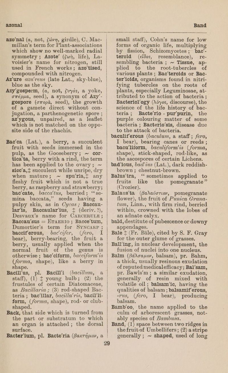 azonal Band azo’nal (a, not, (avy, girdle), C. Mac- millan’s term for Plant-associations which show no well-marked radial symmetry ; Azote’ (fw, life), La- voisier’s name for nitrogen, still used in French works; azo’tised, compounded with nitrogen. Azure azu’reus (late Lat., sky-blue), blue as the sky. Azy’gosperm, (a, not, (vyos, a yoke, omépua, seed), a synonym of Azy’- gospore (copa, seed), the growth of a gamete direct without con- jugation, a parthenogenetic spore ; azygous, unpaired, as a leaflet which is not matched on the oppo- site side of the rhachis, Bac’ca (Lat.), a berry, a succulent fruit with seeds immersed in the pulp, as the Gooseberry; ~ cor- tica’ta, berry with a rind, the term has been applied to the ovary; ~ sice’a,{ succulent while unripe, dry when mature; spu'ria,t any fleshy fruit which is not a true berry, as raspberry and strawberry; bac’cate, bacca’tus, berried; ‘‘se- mina baccata,” seeds having a ~ lar’‘is, Baccaular’ius, + (deriv. ?), Desvaux’s name for CARCERULE; Baccau’sus = ETAERIO; Bacce’tum, Dumortier’s term for SYNCARP ; bacciferous, bac’cifer, (fero, I bear), berry-bearing, the fruit a berry, usually applied when the normal fruit of the genus is otherwise ; bac’ciform, bacciform’is (forma, shape), like a berry in shape. Bacill’us, pl. Bacill’i (bacillum, a staff), (1) f young bulb; (2) the frustules of certain Diatomaceae, as Bacillaria ; (3) rod-shaped Bac- teria ; bac‘illar, bacidla’ris, bacil’li- form, (forma, shape), rod- or club- shaped. Back, that side which is turned from the part or substratum to which an organ is attached; the dorsal surface. 29 small staff), Cohn’s name for low forms of organic life, multiplying by fission, Schizomycetes; bac’- teroid (efdos, resemblance), re- sembling bacteria ; ~ Tissue, ap- plied to the root-tubercles of various plants ; Bac’teroids or Bac- ter’ioids, organisms found in nitri- fying tubercles on the roots of plants, especially Leguminosae, at- tributed to the action of bacteria ; Bacteriol’ogy (Adyos, discourse), the science of the life history of bac- teria; Bacte’rio - pur’purin, the purple colouring matter of some bacteria ; Bacterio’sis, disease due to the attack of bacteria. baculiferous (baculum, a staff; fero, I bear), bearing canes or reeds; bacu’/liform, baculiform’is (forma, shape), stick-shaped, rod-like, as the ascospores of certain Lichens. bad'ious, bad’ius (Lat.), dark reddish- brown; chestnut-brown. Balus'tra, ‘‘ sometimes applied to fruits like the pomegranate” (Crozier). Balaus'ta (Garavoriov, pomegranate flower), the fruit of Punica Grana- tum, Linn., with firm rind, berried within, crowned with the lobes of an adnate calyx. bald, destitute of pubescence or downy appendages. Bale t (Fr. Bale), cited by S. F. Gray for the outer glume of grasses. Ball’ing, in nuclear development, the fusion of nuclei into one nucleus. Balm (8dAcauov, balsam), pr. Bahm, a thick, usually resinous exudation of reputed medicalefficacy; Bal’sam, pr. Bawls’m ; a similar exudation, generally of resin mixed with volatile oil; balsam’ic, having the qualities of balsam ; balsamif’erous, -rus, (fero, I bear), producing balsam. Bamb’oo, the name applied to the culm of arborescent grasses, not- ably species of Bambusa. Band, (1) space between two ridges in the fruit of Umbellifers ; (2) a stripe generally ; ~ shaped, used of long