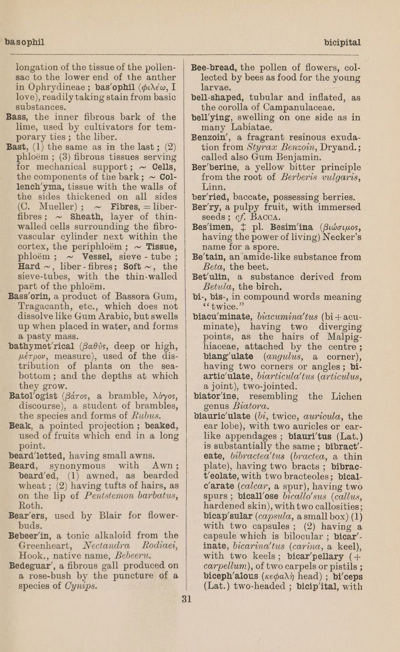 basophil longation of the tissue of the pollen- sac to the lower end of the anther in Ophrydineae ; basophil (¢iAéw, I love), readily taking stain from basic substances. Bass, the inner fibrous bark of the lime, used by cultivators for tem- porary ties; the liber. Bast, (1) the same as in the last; (2) phloém ; (3) fibrous tissues serving for mechanical support; ~ Cells, the components of the bark; ~ Col- lench’yma, tissue with the walls of the sides thickened on all sides (C. Mueller) ; Fibres, = liber- fibres; ~ Sheath, layer of thin- walled cells surrounding the fibro- vascular cylinder next within the cortex, the periphloém ; ~ Tissue, phloém ; ~ Vessel, sieve - tube ; Hard ~, liber- fibres; Soft ~, the sieve-tubes, with the thin-walled part of the phloém. Bass orin, a product of Bassora Gum, Tragacanth, etc., which does not dissolve like Gum Arabic, but swells up when placed in water, and forms a pasty mass. bathymet’rical (Gafis, deep or high, uérpov, measure), used of the dis- tribution of plants on the sea- bottom ; and the depths at which they grow. Batol’ogist (Saros, a bramble, Aédyos, discourse), a student of brambles, the species and forms of Rubus. Beak, a pointed projection ; beaked, used of fruits which end in a long point. beard’letted, having small awns. Beard, synonymous with Awn; beard’ed, (1) awned, as_ bearded wheat ; (2) having tufts of hairs, as on the lip of Pentstemon barbatus, Roth. Bearers, used by Blair for flower- buds, Bebeer’in, a tonic alkaloid from the Greenheart, Nectandra Rodiaei, Hook., native name, Bebeeru. Bedeguar’, a fibrous gall produced on a rose-bush by the puncture of a species of Cynips. ~ 31 bicipital Bee-bread, the pollen of flowers, col- lected by bees as food for the young larvae. bell-shaped, tubular and inflated, as the corolla of Campanulaceae. bell’ying, swelling on one side as in many Labiatae. Benzoin’, a fragrant resinous exuda- tion from Styrax Benzoin, Dryand.; called also Gum Benjamin. Berberine, a yellow bitter principle from the root of Berberis vulgaris, Linn. ber’ried, baccate, possessing berries. Berry, a pulpy fruit, with immersed seeds; cf. Bacca. Bes‘imen, { pl. Besim’ina (S.iwo.mos, having the power of living) Necker’s name for a spore. Be’tain, an amide-like substance from Beta, the beet. Bet’ulin, a substance derived from Betula, the birch. bi-, bis-, in compound words meaning ““ twice.” biacu’minate, biacumina’tus (bi+ acu- minate), having two diverging points, as the hairs of Malpig- hiaceae, attached by the centre ; biang’ ulate (angulus, a corner), having two corners or angles; bi- articulate, biarticula’tus (articulus, a joint), two-jointed. biator’ine, resembling the Lichen genus Biatora. biauric’ulate (bz, twice, auricula, the ear lobe), with two auricles or ear- like appendages ; biauri’tus (Lat.) is substantially the same ; bibract’- eate, bibractea’tus (bractea, a thin plate), having two bracts ; bibrac- t’eolate, with two bracteoles; bical- c‘arate (calcar, a spur), having two spurs ; bicall’ose bicallo’sus (callus, hardened skin), with two callosities; bicap’sular (capsula, a small box) (1) with two capsules ; (2) having a capsule which is bilocular ; bicar’- inate, bicarina’tus (carina, a keel), with two keels; bicar’pellary (-+ carpellum), of two carpels or pistils ; biceph’alous (xepadh head) ; bi’ceps (Lat.) two-headed ; bicip’ital, with