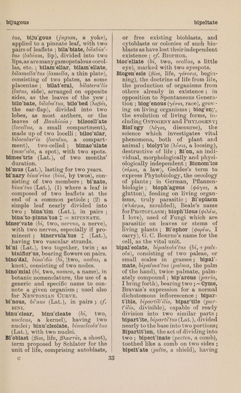 bijugous tus, biju’gous (jugum, a yoke), applied to a pinnate leaf, with two pairs of leaflets ; bila’biate, bilabia’- tus (labium, lip), divided into two lips, as aremany gamopetalous corol- las, etc. ; bilam’ellar, bilam’ellate, bilamella’tus (lamella, a thin plate), consisting of two plates, as some placentae ; bilat’eral, bilatera’lis (latus, side), arranged on opposite sides, as the leaves of the yew; bilo’bate, bi/oba’tus, bilo’bed (Nofos, the ear-flap), divided into two lobes, as most anthers, or the leaves of Bauhinia; bilocell’ate (locellus, a small compartment), made up of two locelli; biloc’ular, bilocular’is (loculus, a compart- ment), two-celled; bimac’ulate (mac'ula, a spot), with two spots. bimes’tris (Lat.), of two months’ duration. bi’mus (Lat.), lasting for two years. binary bina’rius (bini, by twos), con- sisting of two members; bi’nate, bina’tus (Lat.), (1) where a leaf is composed of two leaflets at the end of a common petiole; (2) a simple leaf nearly divided into two; bina’tim (Lat.), in pairs ; bina’to-pinna’tus + = BIPINNATE. biner’vate (bi, two, nervus, a nerve), with two nerves, especially if pro- minent ; binervula’tus { (Lat.), having two vascular strands. bi’ni (Lat.), two together, twin ; as biniflor’us, bearing flowers on pairs. bino’dal, bino’dis (bi, ‘two, nodus, a knot), consisting of two nodes. bino’mial (bz, two, nomen, a name), in botanic nomenclature, the use of a generic and specific name to con- note a given organism; used also for NEWTONIAN CURVE. bi’nous, bi’nus (Lat.), in pairs ; cf. BINI. binu’clear, binu’cleate (bi, two, nucleus, a kernel), having two nuclei; binu'cleolate, binucleola’tus (Lat.), with two nuclei. Bi’oblast (ios, life, BXacros, a shoot), term proposed by Schlater for the unit of life, comprising autoblasts, Cc 33 bipeltate or free existing bioblasts, and cytoblasts or colonies of such bio- blasts as have lost theirindependent existence ; cf. BIOPHOR. bioc’ellate (bi, two, ocellus, a little eye), marked with two eyespots. Biogen’esis (8ios, life, yéveous, begin- ning), the doctrine of life from life, the production of organisms from others already in existence; in opposition to Spontaneous Genera- tion ; biog’enous (yévos, race), grow- ing on living organisms ; biog’eny, the evolution of living forms, in- cluding ONTOGENY and PHYLOGENY; Biology (Adyos, discourse), the science which investigates vital phenomena, both of plant and animal ; biolyt’ic (A’cis, a loosing), destructive of life ; Bi’on, an indi- vidual, morphologically and physi- ologically independent ; Bionom’ics (vduos, a law), Geddes’s term to express Phytobiology, the oecology of plants; in German, Pflanzen- biologie ; bioph’agous (ddyos, a glutton), feeding on living organ- isms, truly parasitic; Bi’oplasm (7w\doua, moulded), Beale’s name for PROTOPLASM; bioph’ilous (diréw, I love), used of Fungi which are parasitic on leaves or stems of living plants; Bi/ophor (qgopéw, I carry), G. C. Bourne’s name for the cell, as the vital unit. bipal’eolate, bipaleola’tus (bi, + pale- ola), consisting of two paleae, or small scales in grasses; bipal’- mate, bipalma’tus (palma, the palm of the hand), twice palmate, palm- ately compound ; bip’arous (pario, I bring forth), bearing two ;~ Cyme, Bravais’s expression for a normal dichotomous inflorescence ; bipar- tible, bipartib’ilis, bipar’tile (par- t'ilis, divisible), capable of ready division into two similar parts ; bipartite, biparti'tus (Lat. ), divided nearly to the base into two portions; Bipartit’ion, the act of dividing into two; bipect/inate (pecten, a comb), toothed like a comb on two sides ; bipelt’ate (pelta, a shield), having