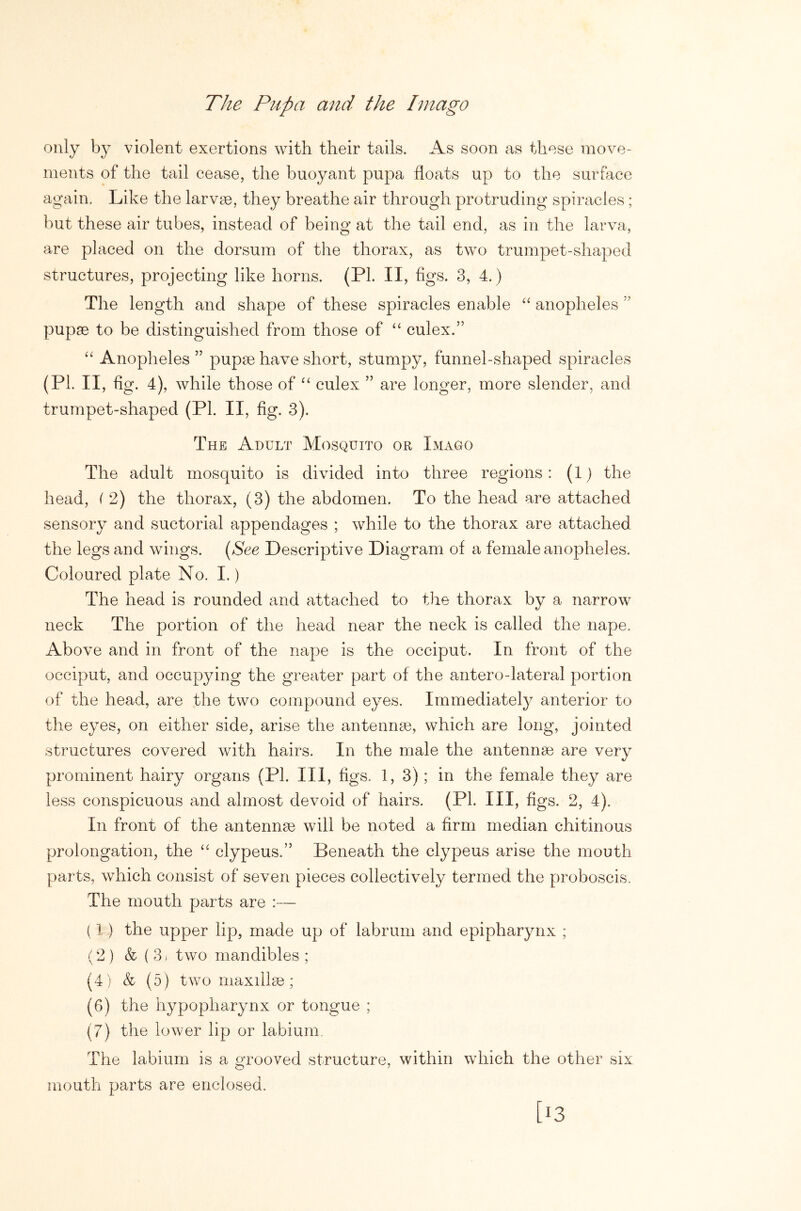 The Pupa and the Imago only by violent exertions with their tails. As soon as these move- ments of the tail cease, the buoyant pupa floats up to the surface again. Like the larvae, they breathe air through protruding spiracles ; but these air tubes, instead of being at the tail end, as in the larva, are placed on the dorsum of the thorax, as two trumpet-shaped structures, projecting like horns. (PI. II, flgs. 3, 4.) The length and shape of these spiracles enable anopheles ” pupae to be distinguished from those of culex.” Anopheles” pupae have short, stumpy, funnel-shaped spiracles (PL II, fig. 4), while those of culex ” are longer, more slender, and trumpet-shaped (PI. II, fig- 3). The Adult Mosquito or Imago The adult mosquito is divided into three regions: (1) the heard, ( 2) the thorax, (3) the abdomen. To the head are attached sensory and suctorial appendages ; while to the thorax are attached the legs and wings. {See Descriptive Diagram of a female anopheles. Coloured plate No. I.) The head is rounded and attached to the thorax by a narrow neck The portion of the head near the neck is called the nape. Above and in front of the nape is the occiput. In front of the occiput, and occupying the greater part of the antero-lateral portion of the head, are the two compound eyes. Immediatel}^ anterior to the eyes, on either side, arise the antennae, which are long, jointed structures covered with hairs. In the male the antennae are very prominent hairy organs (PI. Ill, figs. 1,3); in the female they are less conspicuous and almost devoid of hairs. (PI. Ill, figs. 2, 4). In front of the antennae will be noted a firm median chitinous prolongation, the clypeus.” Beneath the clypeus arise the mouth parts, which consist of seven pieces collectively termed the proboscis. The mouth parts are :— (1 ) the upper li]D, made up of labrum and epipharynx ; (2 ) & ( 31 two mandibles ; (4 ) & (5) two maxillae ; (6) the hypopharynx or tongue ; (7) the lower lip or labium. The labium is a grooved structure, within which the other six mouth parts are enclosed. [13