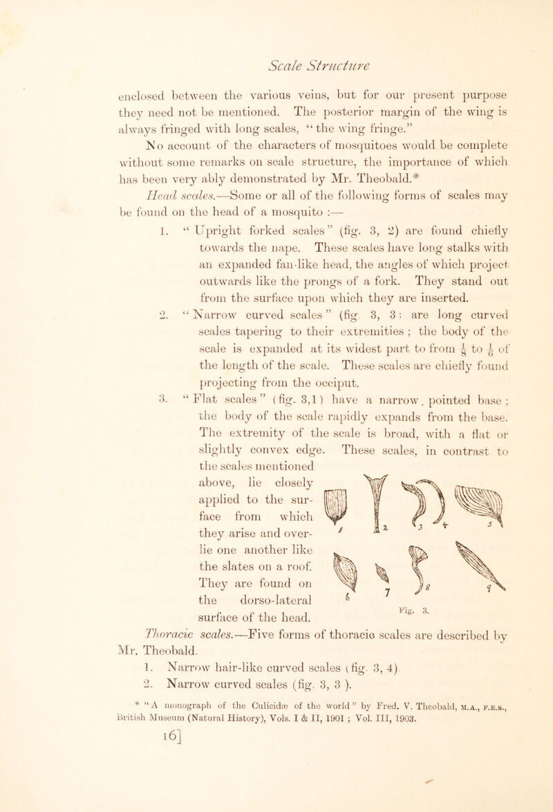 Scale Structure enclosed between the various veins, but for our present purpose they need not be mentioned. The posterior margin of the wing is always fringed with long scales, ‘‘the wing fringe.” No account of the characters of mosquitoes would be complete without some remarks on scale structure, the importance of which has been very ably demonstrated by Mr. Theobald.^ Head scales.—Some or all of tlie following foruis of scales may be found on the head of a mosquito :— 1. “ Upright forked scales” (fig. 3, ‘2) are found chiefly towards the nape. These scales have long stalks with an expanded fan dike head, the angles of which project outwards like the prongs of a fork. They stand out from the surface upon which they are inserted. 2. “Narrow curved scales” (fig. 3, 3: are long curved scales tapering to their extremities ; the body of the scale is expanded at its widest part to from to ^ of the length of the scale. These scales are chiefly found projecting from the occiput. 3. “Flat scales” (fig. 3,1) have a narrow. pointed base; the body of the scale rapidly expands from the base. The extremity of the scale is broad, with a fiat or slightly convex edge. These scales, in contrast to the scales mentioned above, lie closely applied to the sur- face from which they arise and over- lie one another like the slates on a roof They are found on the dorso-lateral surface of the head. Thoracic scales.—Five forms Mr. Theobald. 1. Narrow hair-like curved S' 2, Narrow curved scales (hg. >f thoracic scales are described by ales I fig. 3, 4) 3, 3 ). * “ A inonograph of the Culicid® of the world ” by Fred. V. Theobald, m.a., f.e.s., British Museum (Natural History), Vols. I & II, 1901 ; Vol. Ill, 1903.