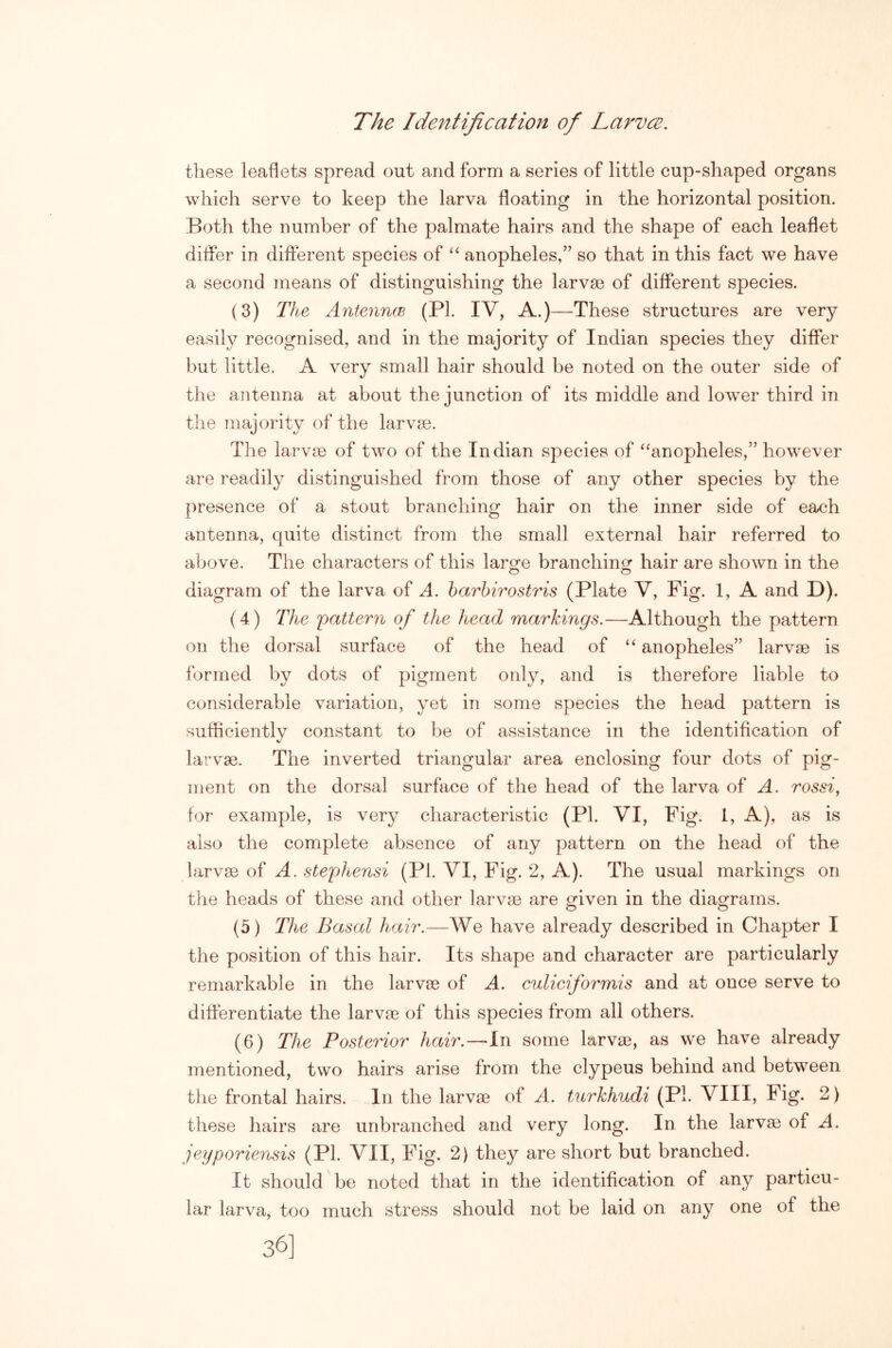 these leaflets spread out and form a series of little cup-shaped organs which serve to keep the larva floating in the horizontal position. Both the number of the palmate hairs and the shape of each leaflet differ in different species of anopheles,” so that in this fact we have a second means of distinguishing the larva) of different species. (3) The Antennm (PI. IV, A.)—These structures are very easily recognised, and in the majority of Indian species they differ but little. A very small hair should be noted on the outer side of tlie antenna at about the junction of its middle and lower third in the majority of the larvae. The larvae of two of the Indian species of ‘^anopheles,” however are readily distinguished from those of any other species by the presence of a stout branching hair on the inner side of each antenna, quite distinct from the small external hair referred to above. The characters of this lar^e branchino: hair are shown in the diagram of the larva of A. harhirostris (Plate V, Fig. 1, A and D). (4) The 'pattern of the head markings.—Although the pattern on the dorsal surface of the head of “ anopheles” larvae is formed by dots of pigment only, and is therefore liable to considerable variation, yet in some species the head pattern is sufficiently constant to be of assistance in the identification of larvae. The inverted triangular area enclosing four dots of pig- ment on the dorsal surface of the head of the larva of A. rossi, for example, is very characteristic (PI. VI, Fig. 1, A), as is also the complete absence of any pattern on the head of the larvae of A. stephensi (PI. VI, Fig. 2, A). The usual markings on the heads of these and other larvae are ^iven in the diao-rams. O O (5) The Basal hair.—We have already described in Chapter I the position of this hair. Its shape and character are particularly remarkable in the larvae of A. culiciformis and at once serve to differentiate the larva) of this species from all others. (6) The Posterior hair.—la some larvae, as we have already mentioned, two hairs arise from the clypeus behind and between the frontal hairs. In the larvae of A. turkhudi (PI. VIII, Fig. 2) these hairs are unbranched and very long. In the larv^ of A, jeyporiensis (PI. VII, Pig. 2) they are short but branched. It should be noted that in the identification of any particu- lar larva, too much stress should not be laid on any one of the 36]