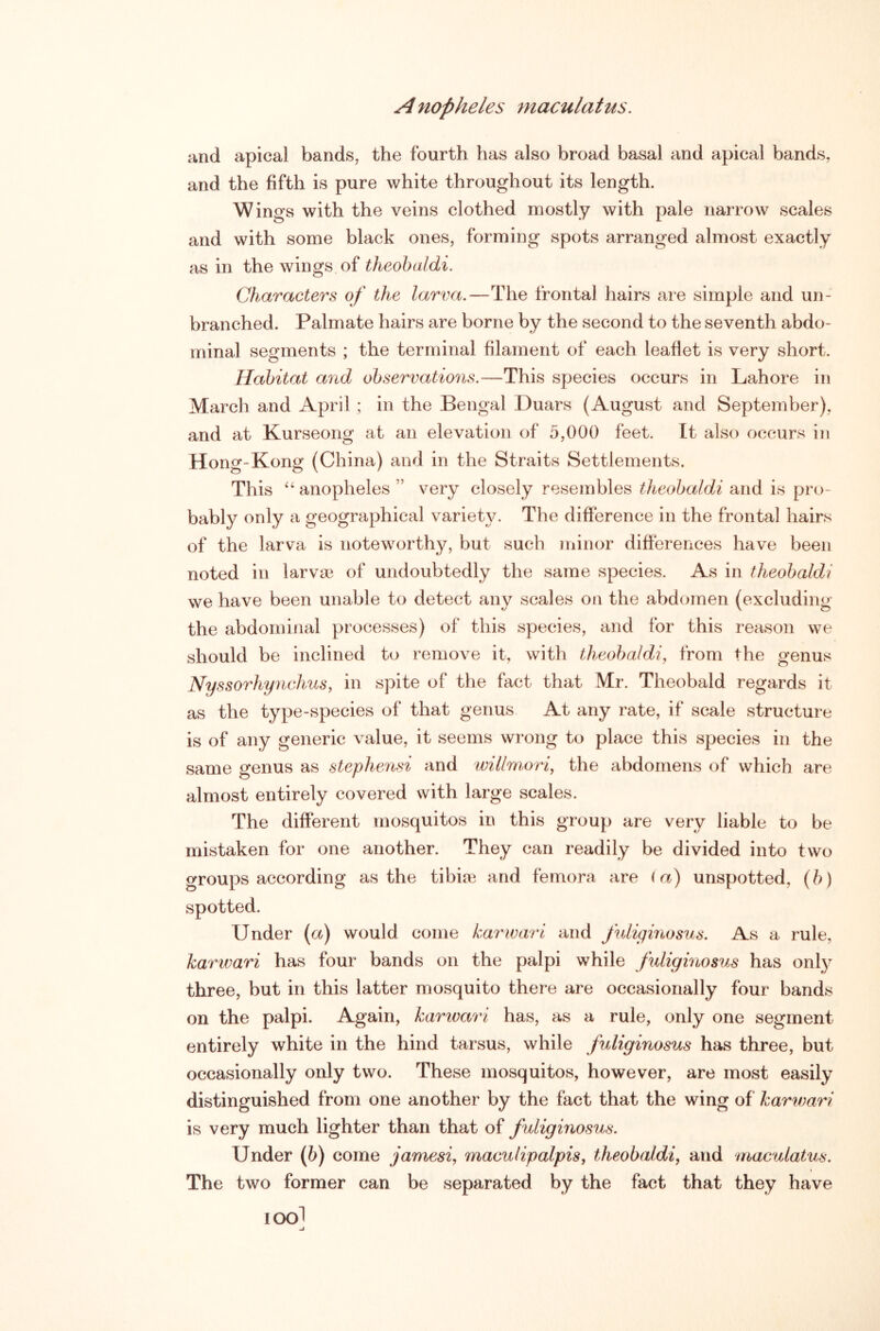 and apical bands, the fourth has also broad basal and apical bands, and the fifth is pure white throughout its length. Wings with the veins clothed mostly with pale narrow scales and with some black ones, forming spots arranged almost exactly as in the wings of theohaldi. Characters of the larva.—The frontal hairs are simple and un- branched. Palmate hairs are borne by the second to the seventh abdo- minal segments ; the terminal filament of each leafiet is very short. Habitat and observations.—This species occurs in Lahore in March and April ; in the Bengal Duars (August and September), and at Kurseong at an elevation of 5,000 feet. It also occurs in Hong-Kong (China) and in the Straits Settlements. This anopheles ” very closely resembles theobaldi and is pro- bably only a geographical variety. The difference in the frontal hairs of the larva is noteworthy, but such minor differences have been noted in larvae of undoubtedly the same species. As in theobaldi we have been unable to detect any scales on the abdomen (excluding the abdominal processes) of this species, and for this reason we should be inclined to remove it, with theobaldi^ from the genus Nyssorhynchus, in spite of the fact that Mr. Theobald regards it as the type-species of that genus At any rate, if scale structure is of any generic value, it seems wrong to place this species in the same genus as stephensi and willniori, the abdomens of which are almost entirely covered with large scales. The different mosquitos in this group are very liable to be mistaken for one another. They can readily be divided into two groups according as the tibia; and femora are (a) unspotted, (7>) spotted. Under (a) would come karwari and fuliginosus. As a rule, harwari has four bands on the palpi while fuliginosus has only three, but in this latter mosquito there are occasionally four bands on the palpi. Again, karwari has, as a rule, only one segment entirely white in the hind tarsus, while fuliginosus has three, but occasionally only two. These mosquitos, however, are most easily distinguished from one another by the fact that the wing of karwari is very much lighter than that of fuliginosus. Under (6) come jamesi, maculipalpisy theobaldi, and maculatus. The two former can be separated by the fact that they have lool