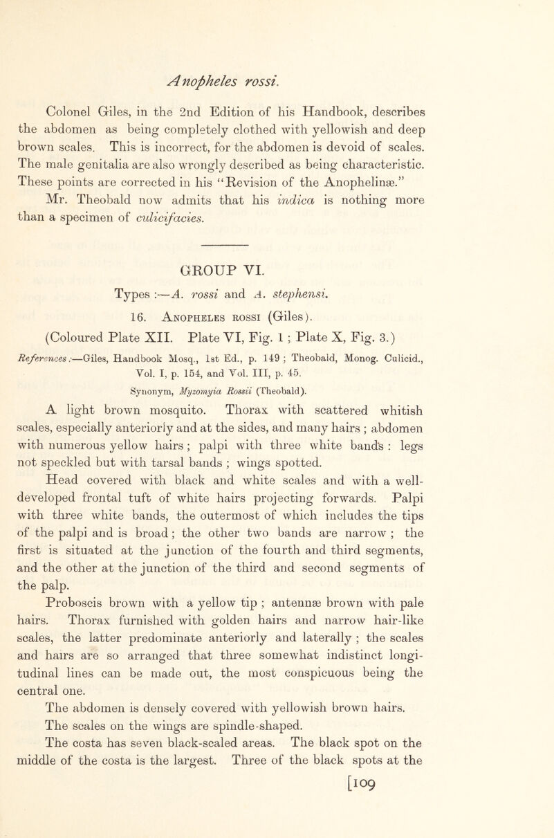 Colonel Giles, in the 2nd Edition of his Handbook, describes the abdomen as being completely clothed with yellowish and deep brown scales. This is incorrect, for the abdomen is devoid of scales. The male genitalia are also wrongly described as being characteristic. These points are corrected in his ^‘Revision of the AnophelinaB.” Mr. Theobald now admits that his indica is nothing more than a specimen of culicifacies. GROUP VI. Types :—A. rossi and A, stephensi, 16. Anopheles rossi (Giles). (Coloured Plate XII. Plate VI, Fig. 1 ; Plate X, Fig. 3.) References:—Giles, Handbook Mosq., 1st Ed., p. 149; Theobald, Monog. Culicid., Vol. I, p. 154, and ToL III, p. 45, Synonym, Myzomyia Rossii (Theobald). A light brown mosquito. Thorax with scattered whitish scales, especially anteriorly and at the sides, and many hairs ; abdomen with numerous yellow hairs ; palpi with three white band's : legs not speckled but with tarsal bands ; wings spotted. Head covered with black and white scales and with a well- developed frontal tuft of white hairs projecting forwards. Palpi with three white bands, the outermost of which includes the tips of the palpi and is broad; the other two bands are narrow ; the first is situated at the junction of the fourth and third segments, and the other at the junction of the third and second segments of the palp. Proboscis brown with a yellow tip ; antennae brown with pale hairs. Thorax furnished with golden hairs and narrow hair-like scales, the latter predominate anteriorly and laterally ; the scales and hairs are so arranged that three somewhat indistinct longi- tudinal lines can be made out, the most conspicuous being the central one. The abdomen is densely covered with yellowish brown hairs. The scales on the wings are spindle-shaped. The costa has seven black-scaled areas. The black spot on the middle of the costa is the largest. Three of the black spots at the