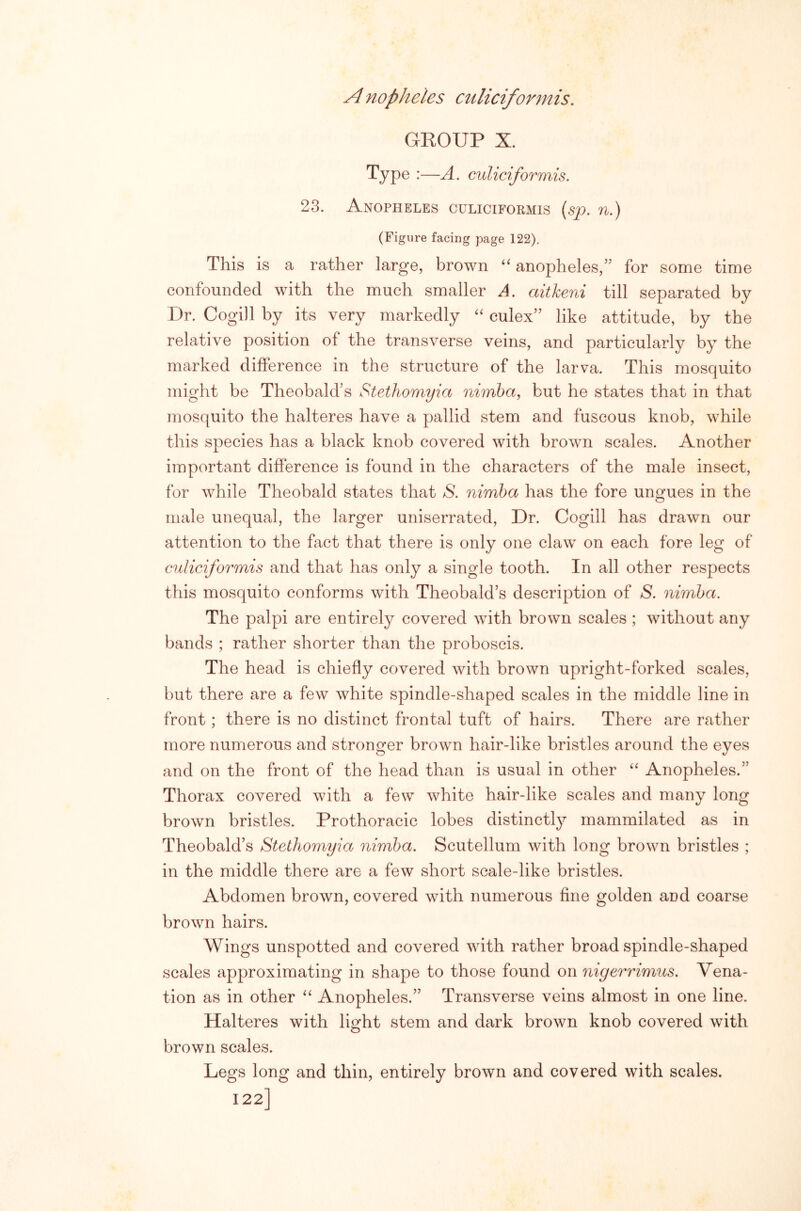 GROUP X. Type :—A. culiciformis. 23. Anopheles culiciformis {sp. n.) (Figure facing page 122), This is a rather large, brown anopheles,” for some time confounded with the much smaller A. aitkeni till separated by Dr. Cogill by its very markedly culex” like attitude, by the relative position of the transverse veins, and particularly by the marked difference in the structure of the larva. This mosquito might be Theobald’s StetJiomyia nimba, but he states that in that mosquito the halteres have a pallid stem and fuscous knob, while this species has a black knob covered with brown scales. Another important difference is found in the characters of the male insect, for while Theobald states that S. nimba has the fore ungues in the male unequal, the larger uniserrated, Dr. Cogill has drawn our attention to the fact that there is only one claw on each fore leg of culiciformis and that has only a single tooth. In all other respects this mosquito conforms with Theobald’s description of S. nimba. The palpi are entirely covered with brown scales ; without any bands ; rather shorter than the proboscis. The head is chiefly covered with brown upright-forked scales, but there are a few white spindle-shaped scales in the middle line in front; there is no distinct frontal tuft of hairs. There are rather more numerous and stronger brown hair-like bristles around the eyes and on the front of the head than is usual in other ‘‘ Anopheles.” Thorax covered with a few white hair-like scales and many long brown bristles. Prothoracic lobes distinctly mammilated as in Theobald’s Stetliomyia nimba. Scutellum with long brown bristles ; in the middle there are a few short scale-like bristles. Abdomen brown, covered with numerous fine golden and coarse brown hairs. Wings unspotted and covered with rather broad spindle-shaped scales approximating in shape to those found on nigerrimus. Vena- tion as in other Anopheles.” Transverse veins almost in one line. Halteres with light stem and dark brown knob covered with brown scales. Legs long and thin, entirely brown and covered with scales. 122]